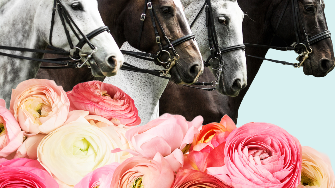 May 17-19th, 2024 Horse -O-Scope