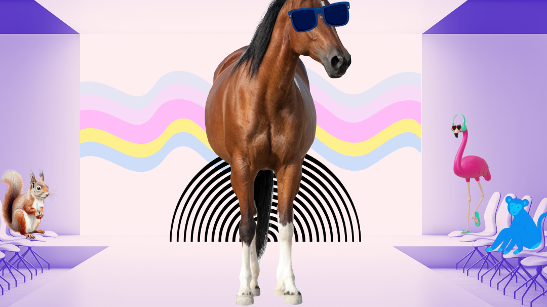 d&s, equestrian horoscope, boot socks, equestrian gifts, horseback riding