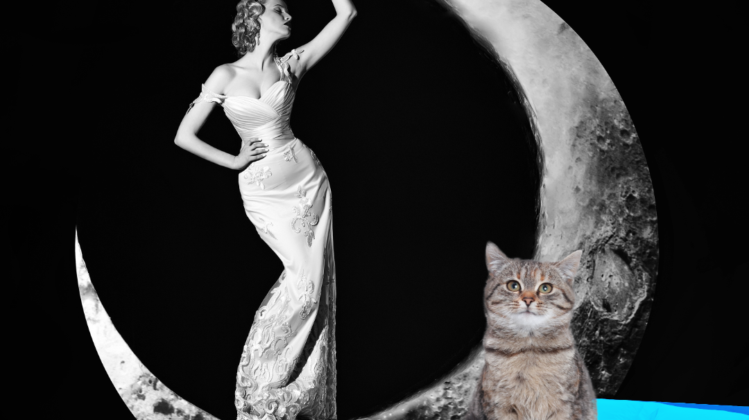 dreamers & schemers, boot socks, saddle pads, spur straps, slippers, crew socks, equestrian, equestrian accessories