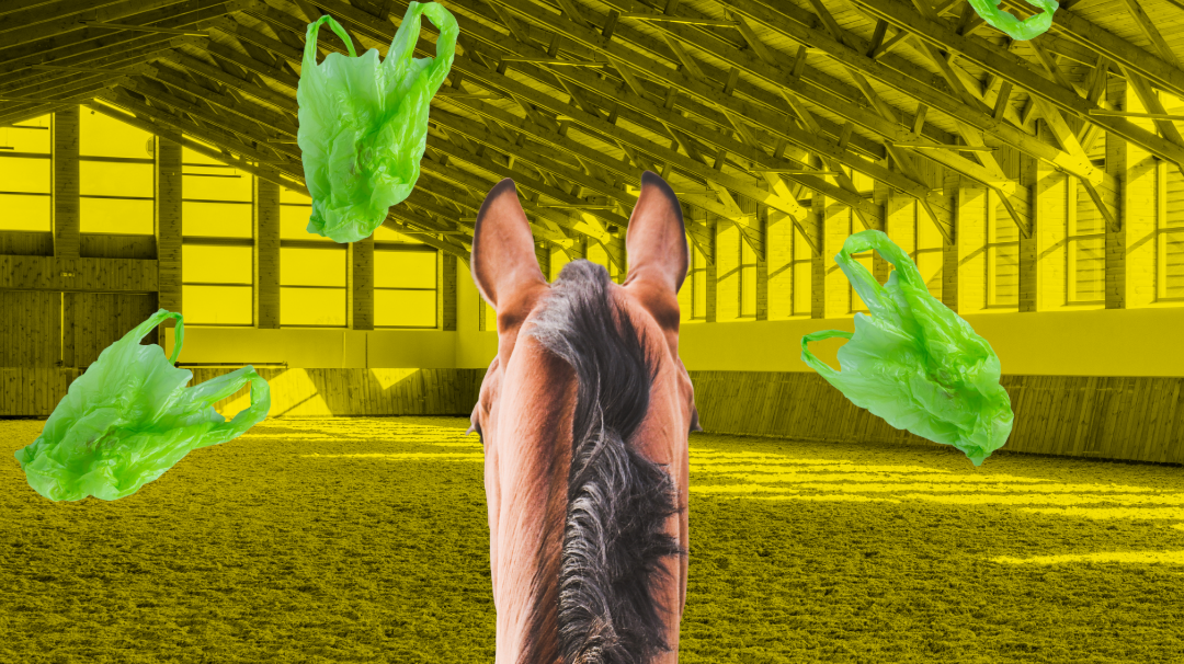 dreamers & schemers, horse show, boot socks, horses, equestrian accessories, horse socks, spur straps, equestrian gifts