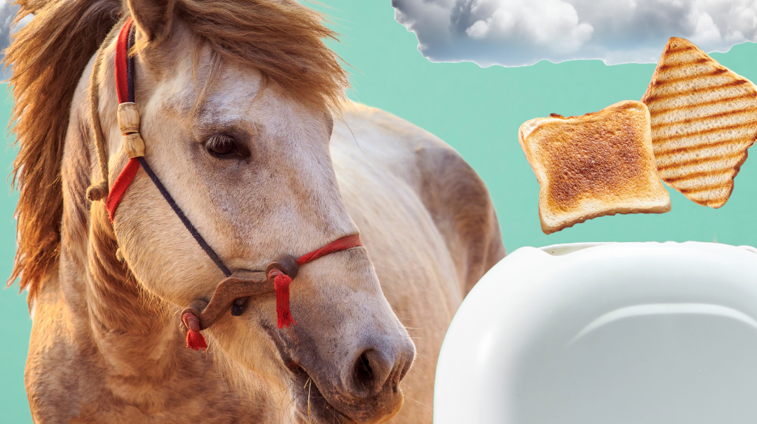 dreamers, boot socks, spur straps, equestrian accessories, gifts for horse lovers, horse-o-scope