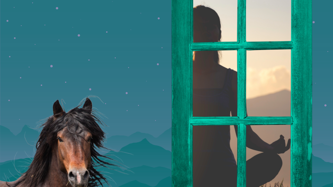 April 23rd, 2024 Horse-O-Scope