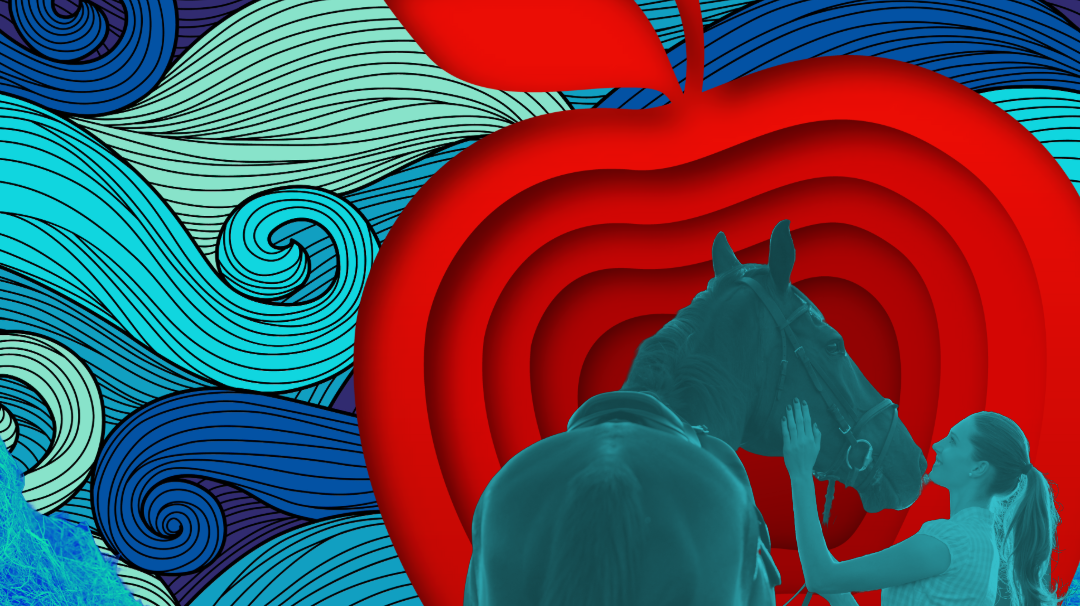 horse-o-scope, dreamers & schemers, horses, equestrian, boot socks, riding socks, spur straps, horse slippers