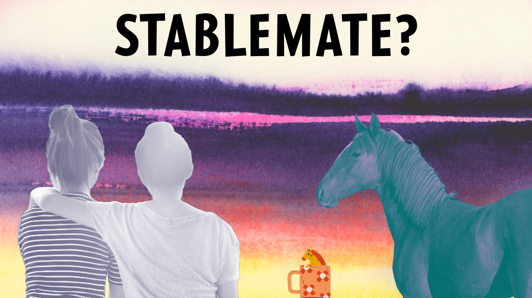 dreamers and schemers, horseback riding, horses, riding lessons, equestrian gifts, horoscope, equestrian horoscope