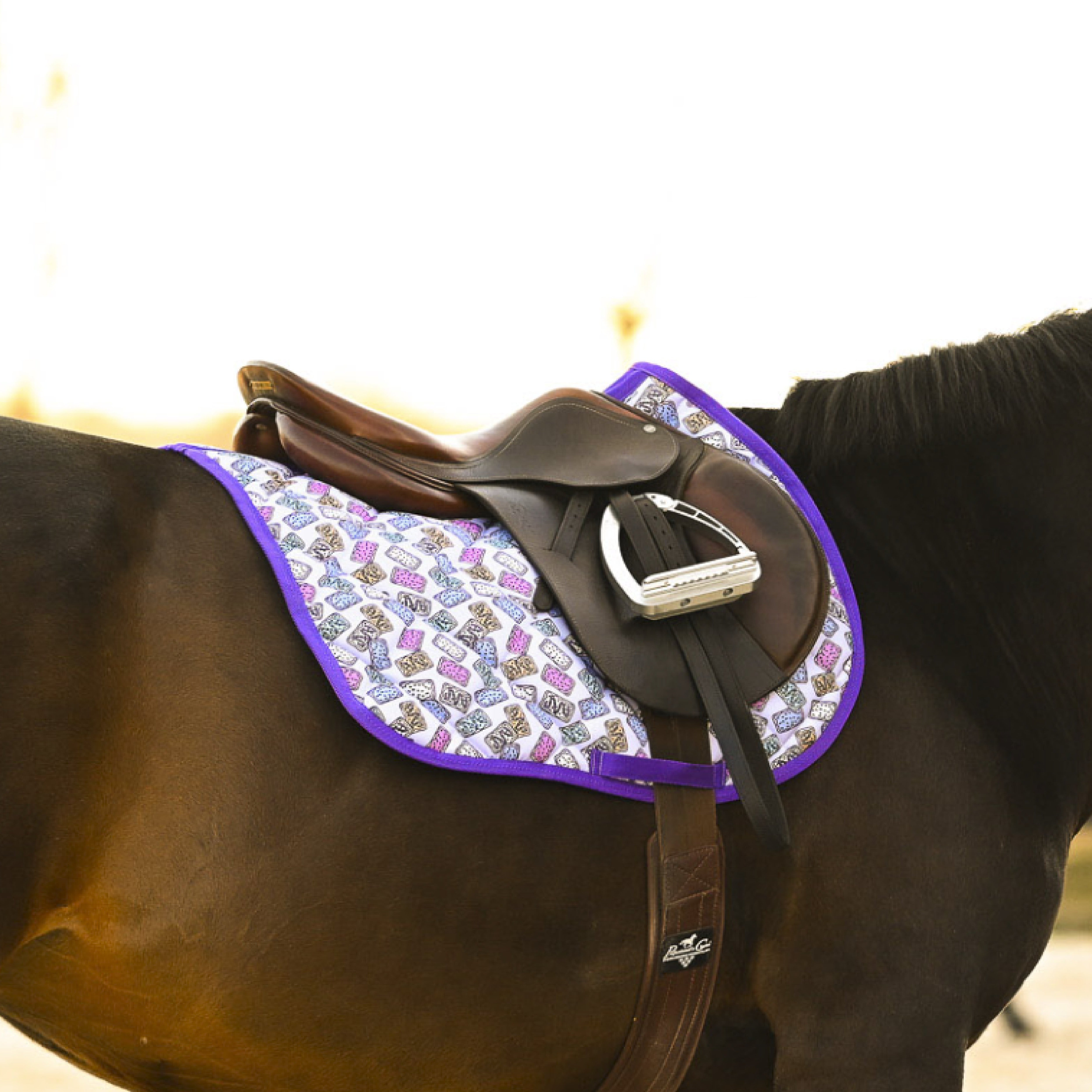 dreamers & schemers saddle pad