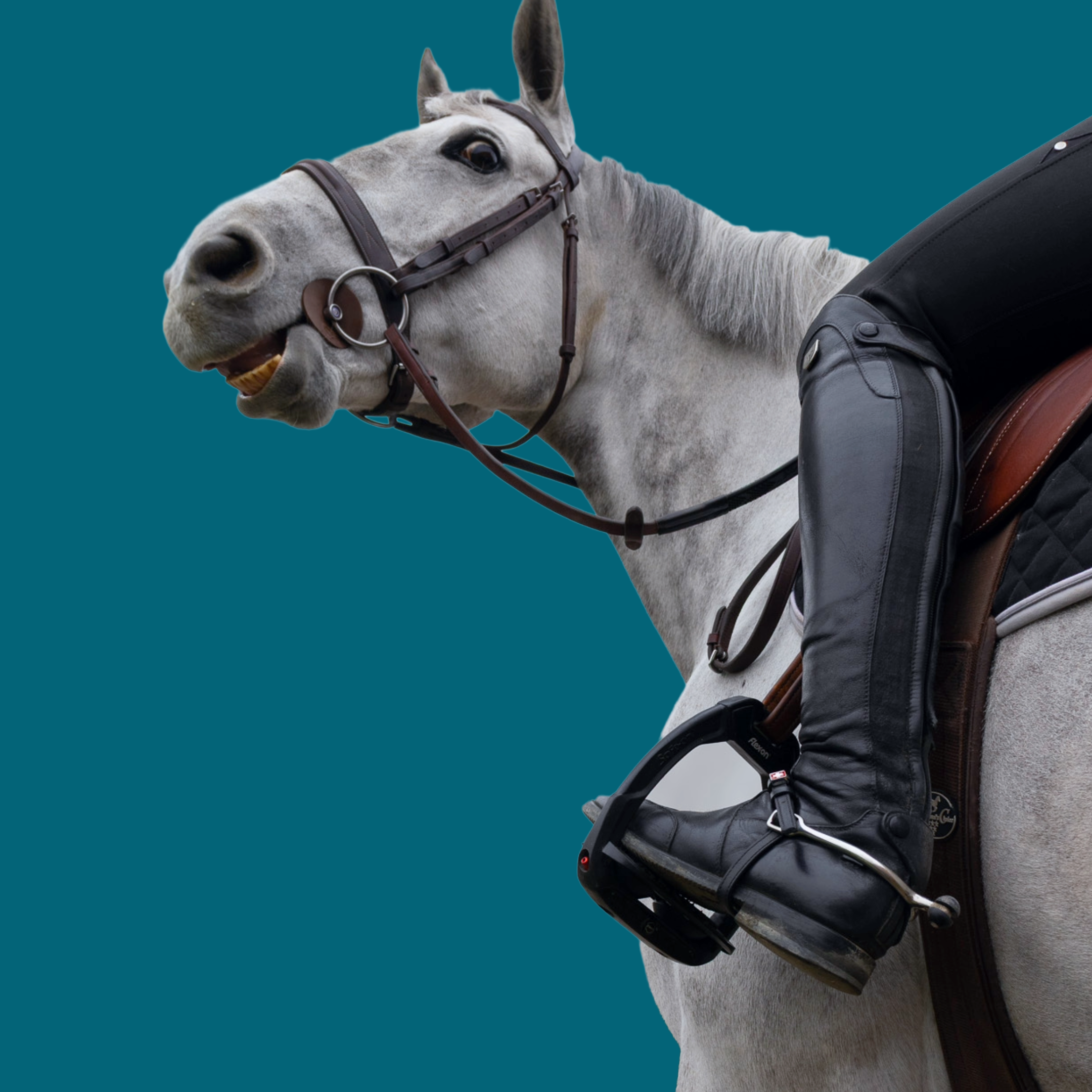 New Arrivals at ManeJane