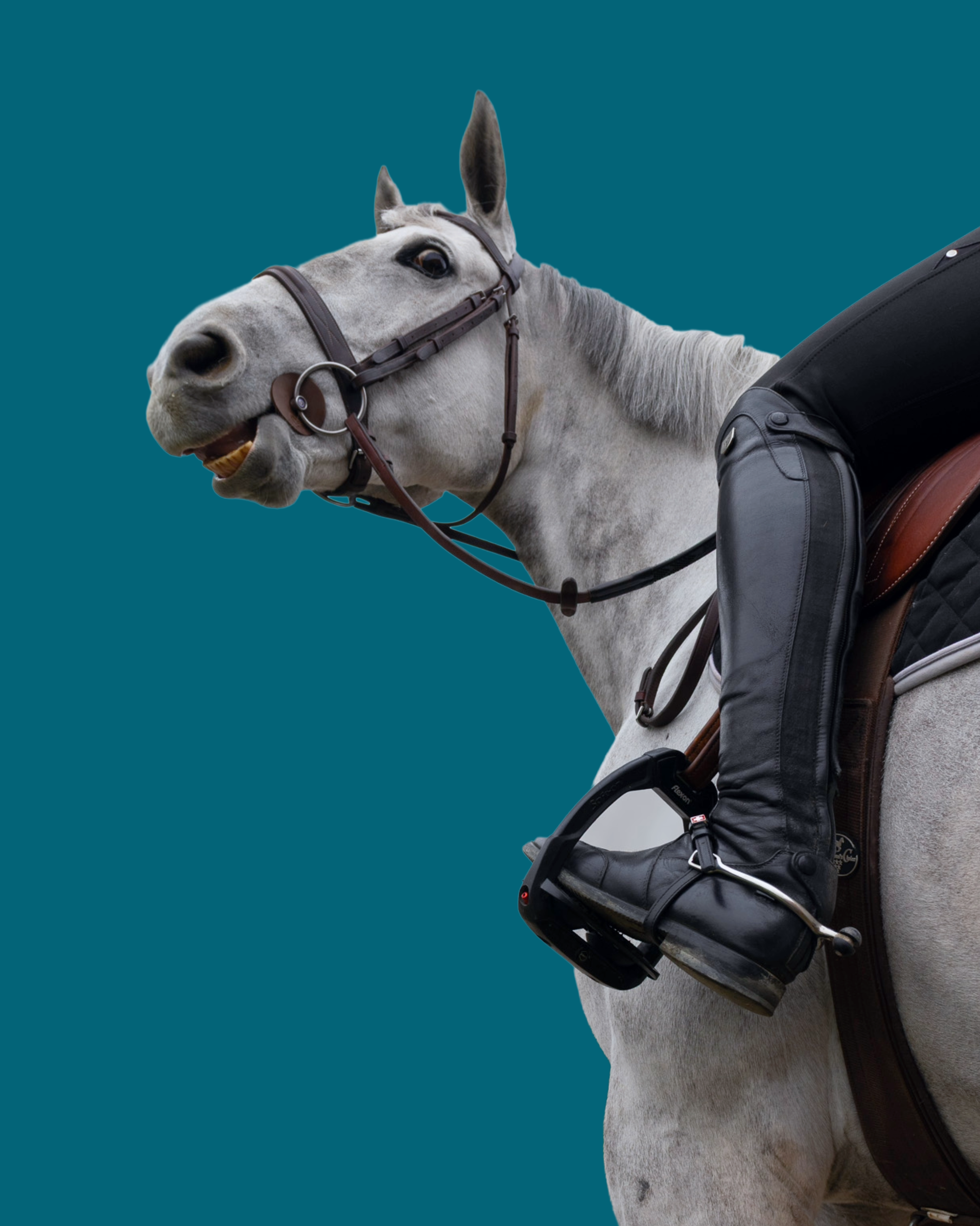 New Arrivals at ManeJane