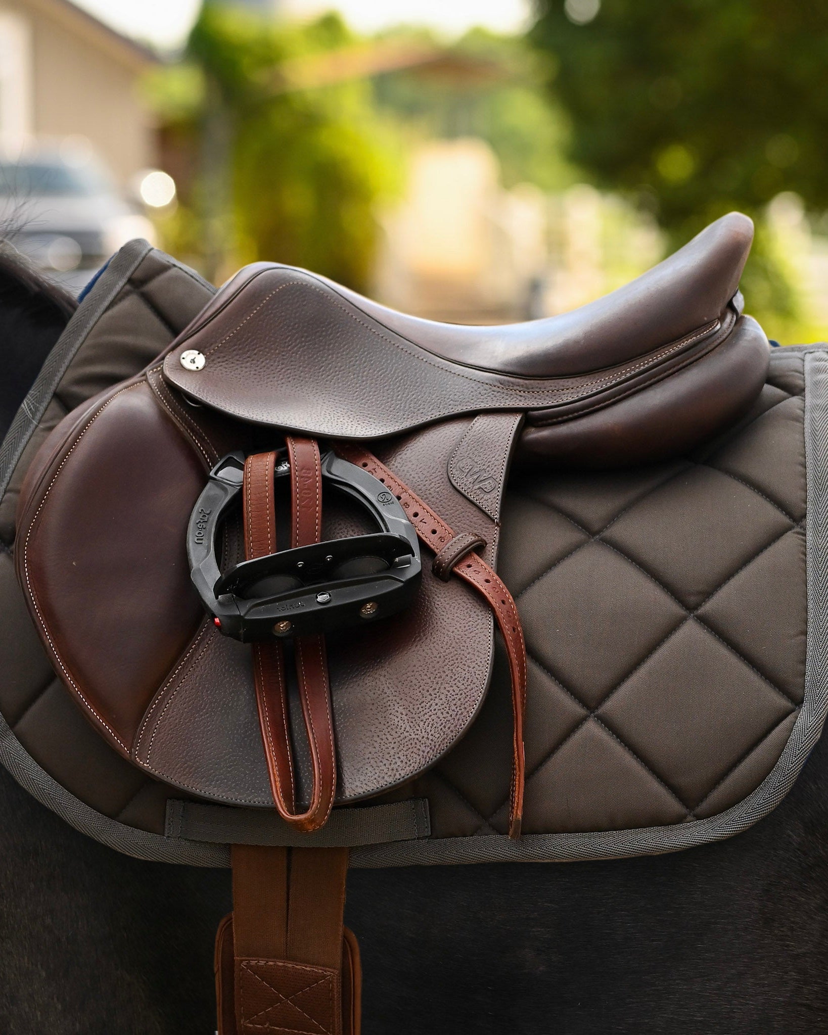 Solid Color Saddle Pads