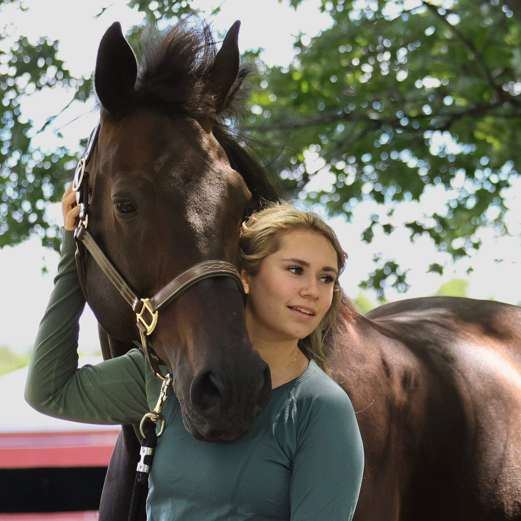 For the Stable - Horse Supplies