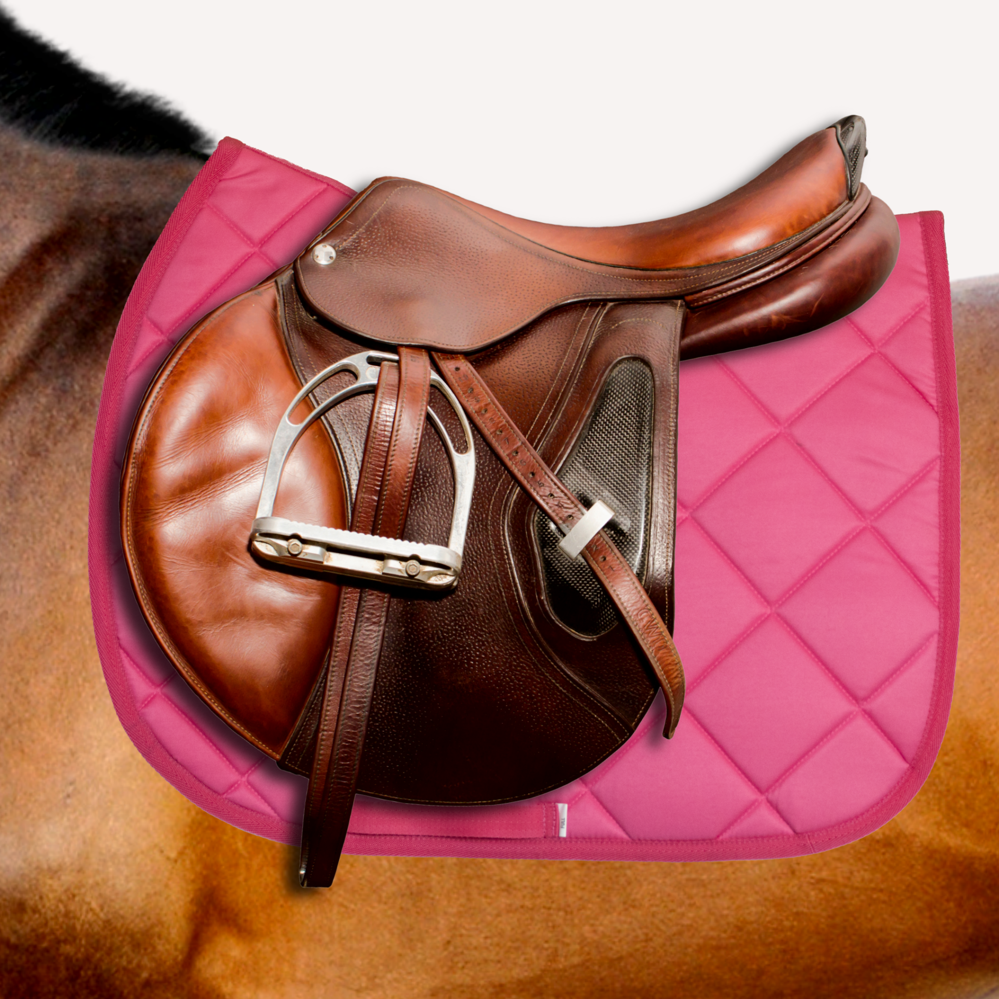 Solid Color Saddle Pads