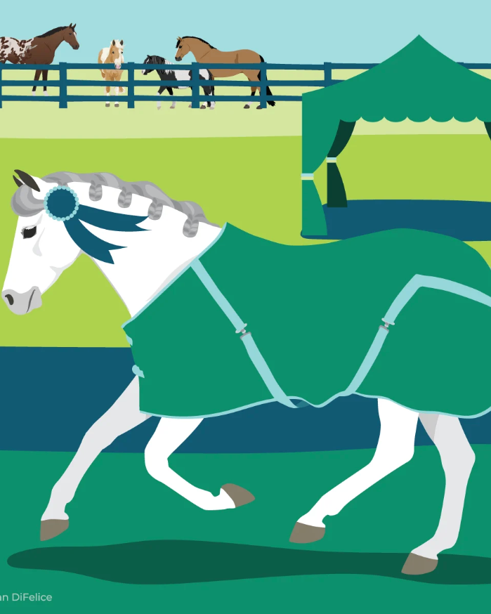 The Pony Island X D&S Collab