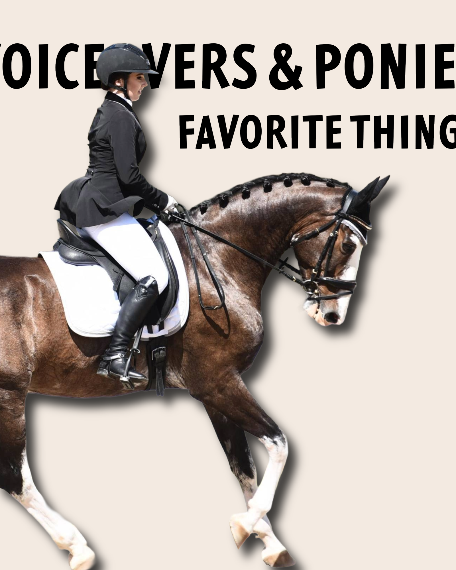 Voiceovers and Ponies Favorite Riding Accessories