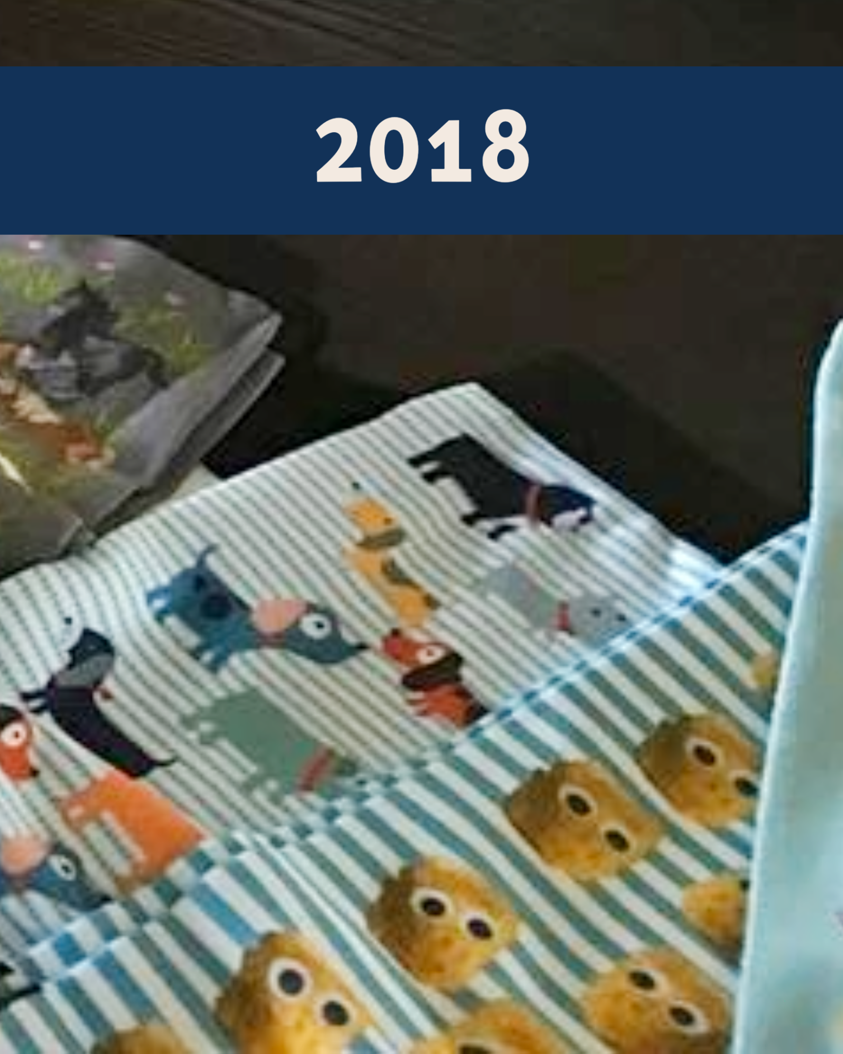 10th Anniversary Limited Edition Tater Tot Riding Boot Socks with tiny tater tot design, soft and stretchy, made in the USA