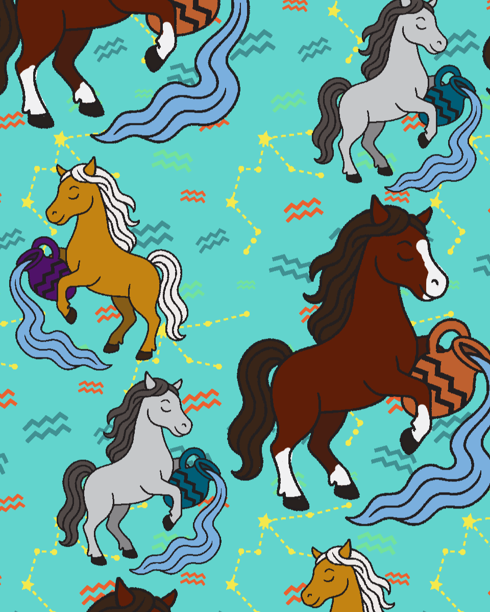 Aquarius zodiac-themed boot socks with horse and water bearer design on turquoise background