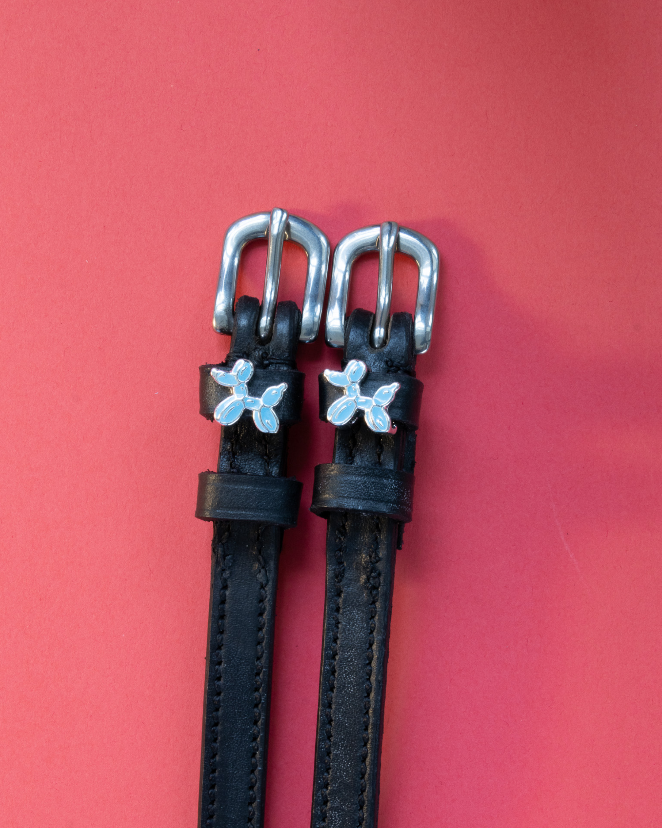 Black leather spur straps with blue balloon dog charms on a coral red background