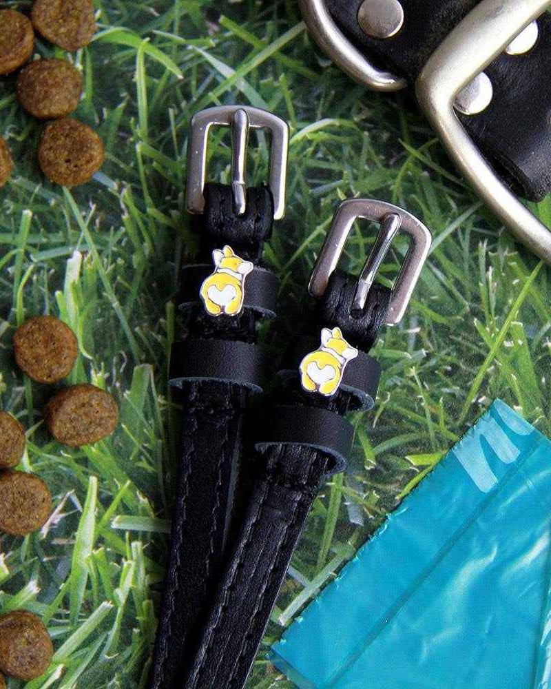Corgi butt spur straps on grass with dog kibble, collar and poop bag