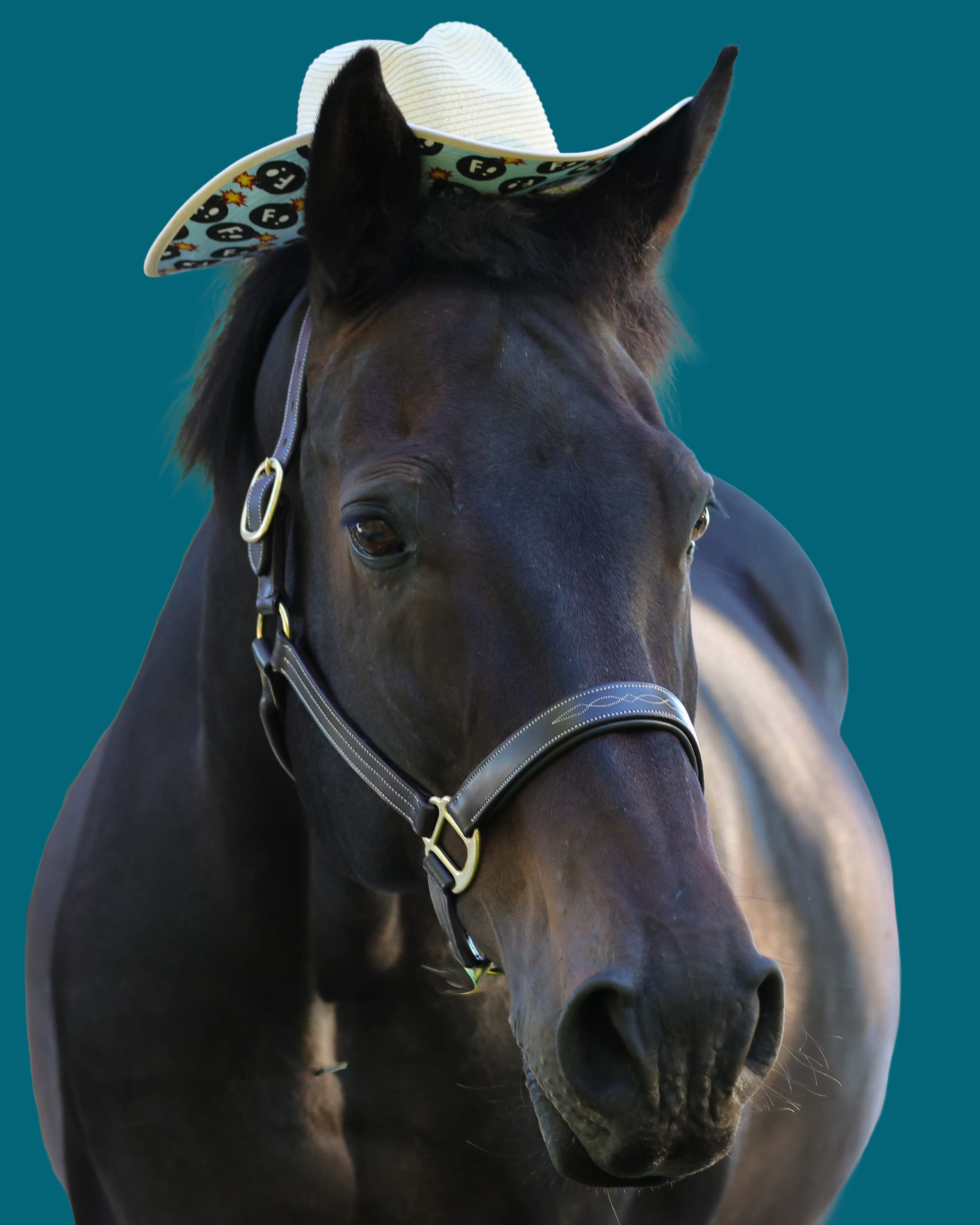 Hay Sunshine Sun Hat with hidden F Bombs pattern under brim for equestrians