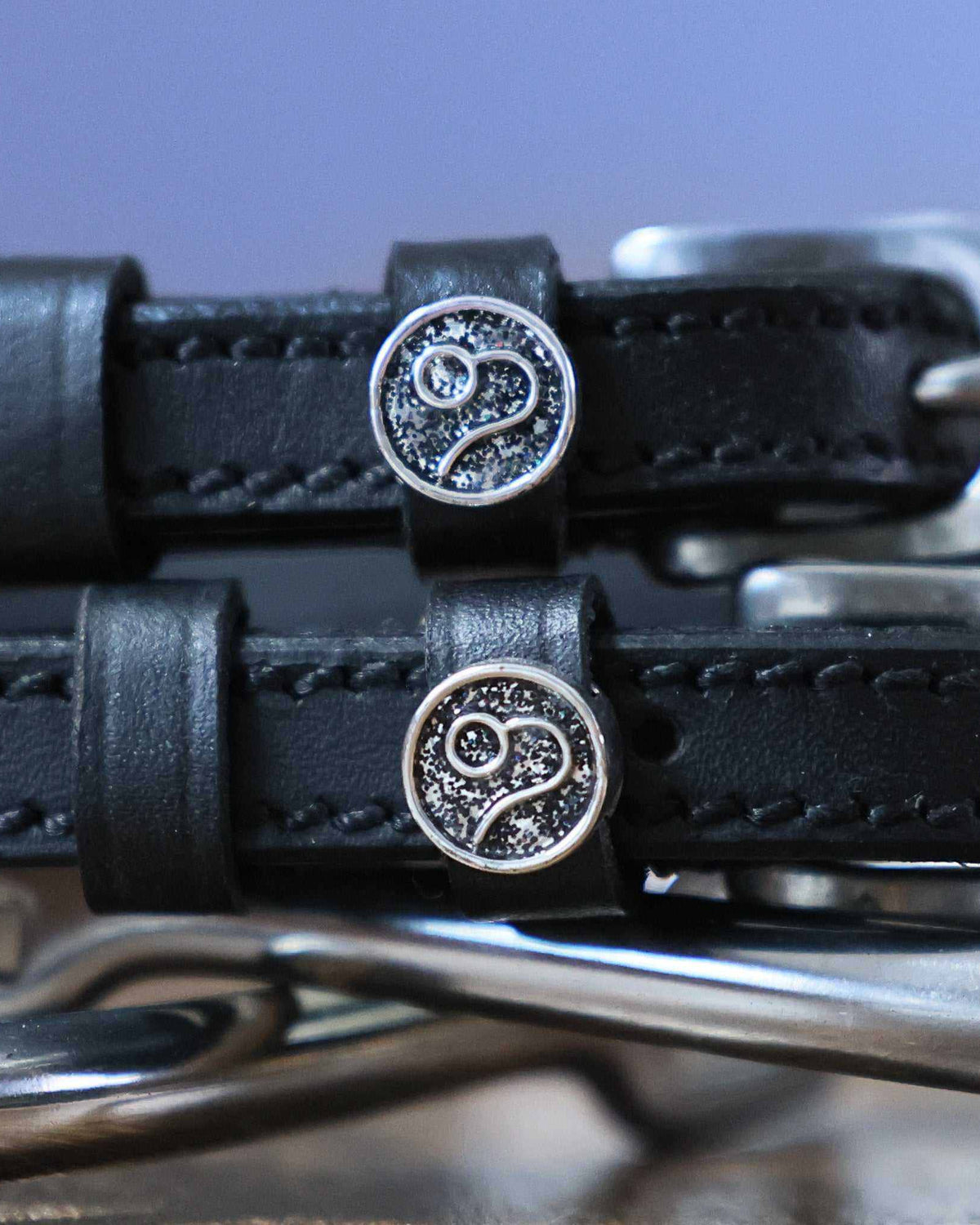 Close-up of round silver Leo zodiac charms on black leather spur straps