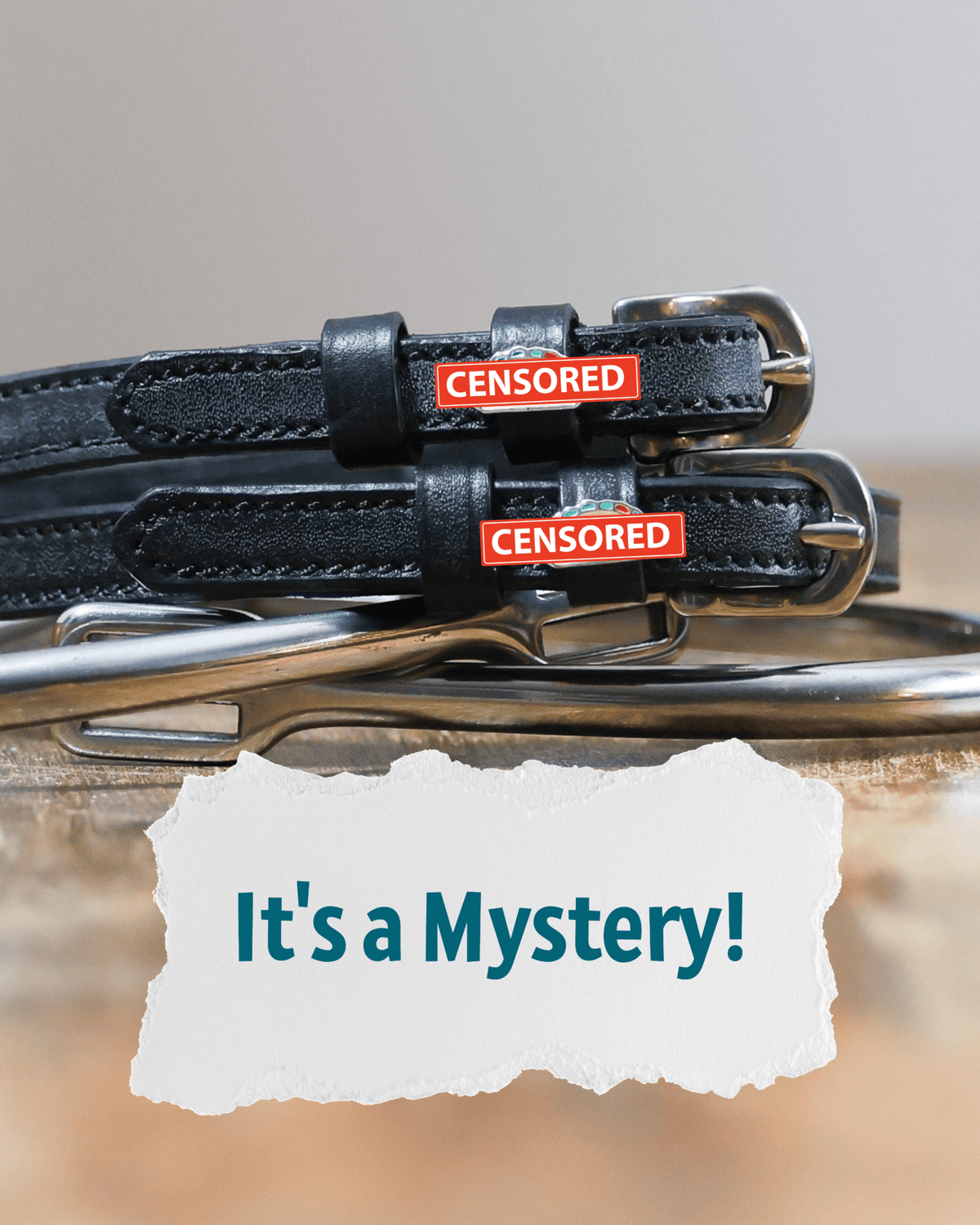 ManeJane Mystery spur straps with red CENSORED charms beside an It's a Mystery text card