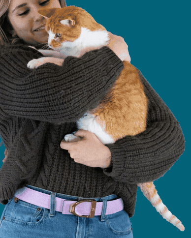 Chocolate and lavender reversible leather belt strap with clean lines and premium craftsmanship