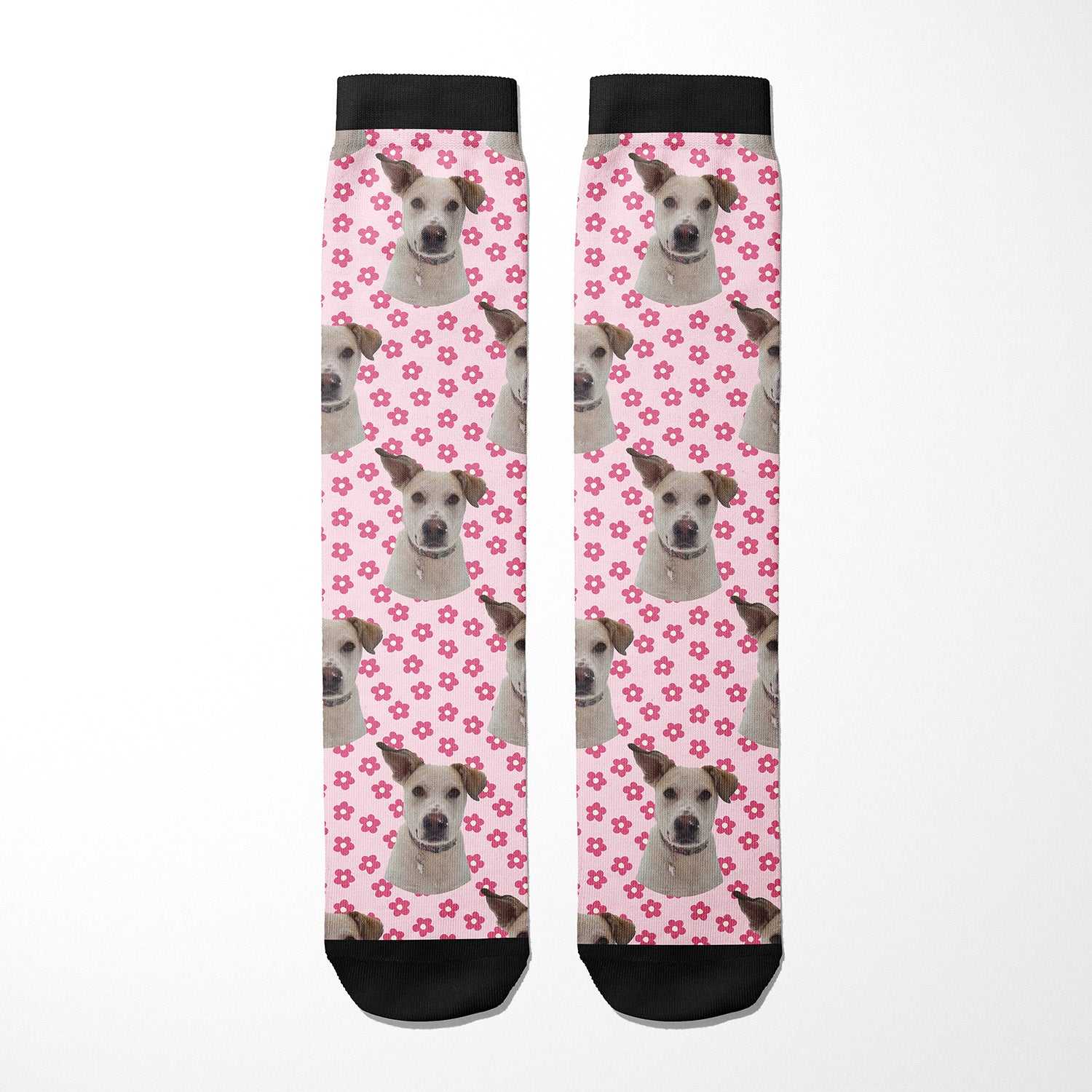 Pinky Petals custom photo equestrian boot socks, pink background, product mockup showing the full design