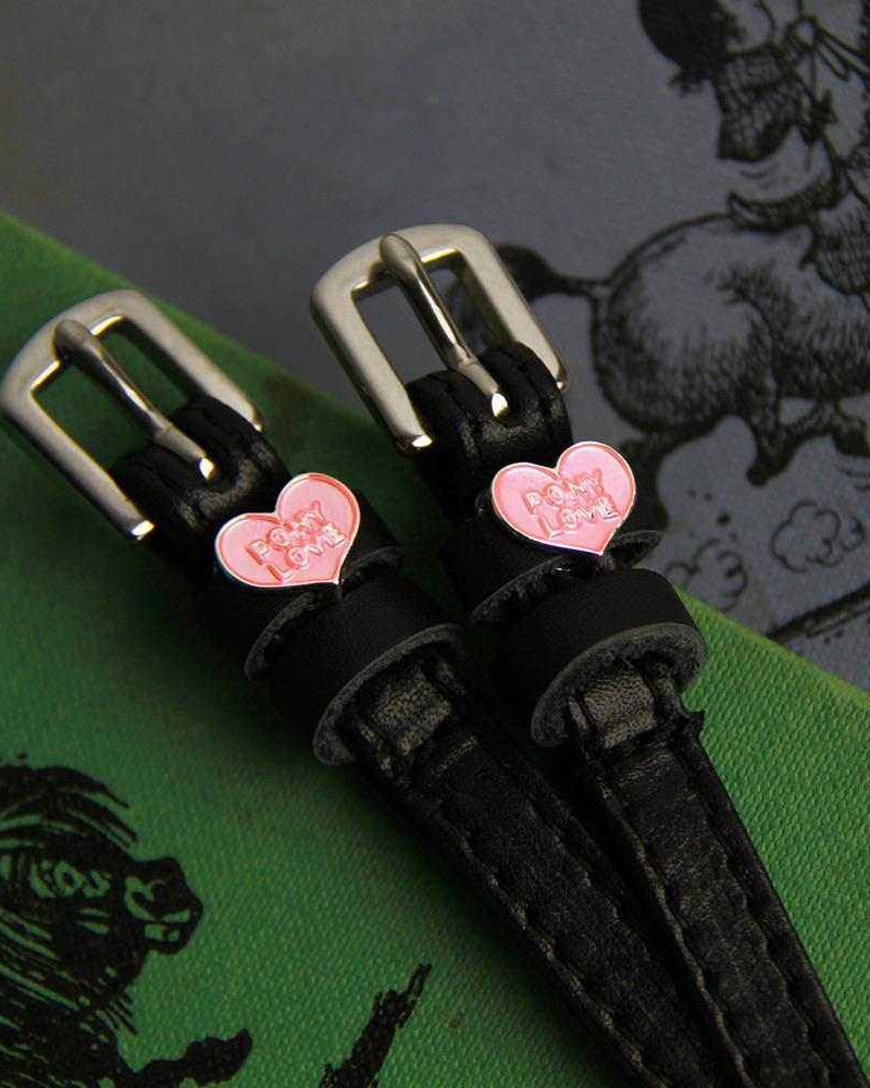 Pony Love spur strap buckle ends on a vintage green horse-illustration book