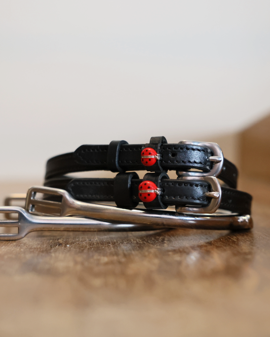 Black leather ladybug spur straps coiled on wood beside a stirrup
