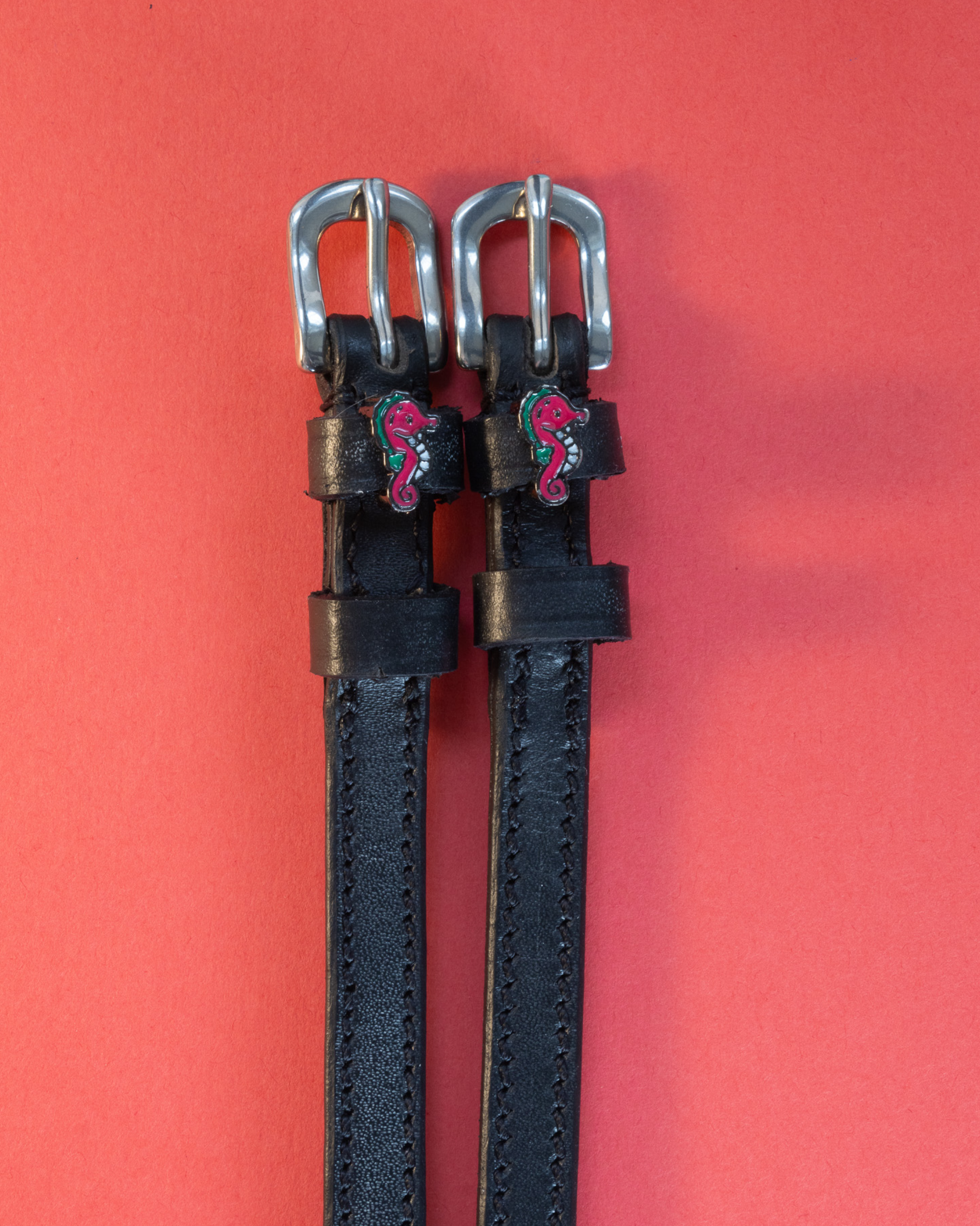 ManeJane seahorse spur straps flat-laid on a coral-red background