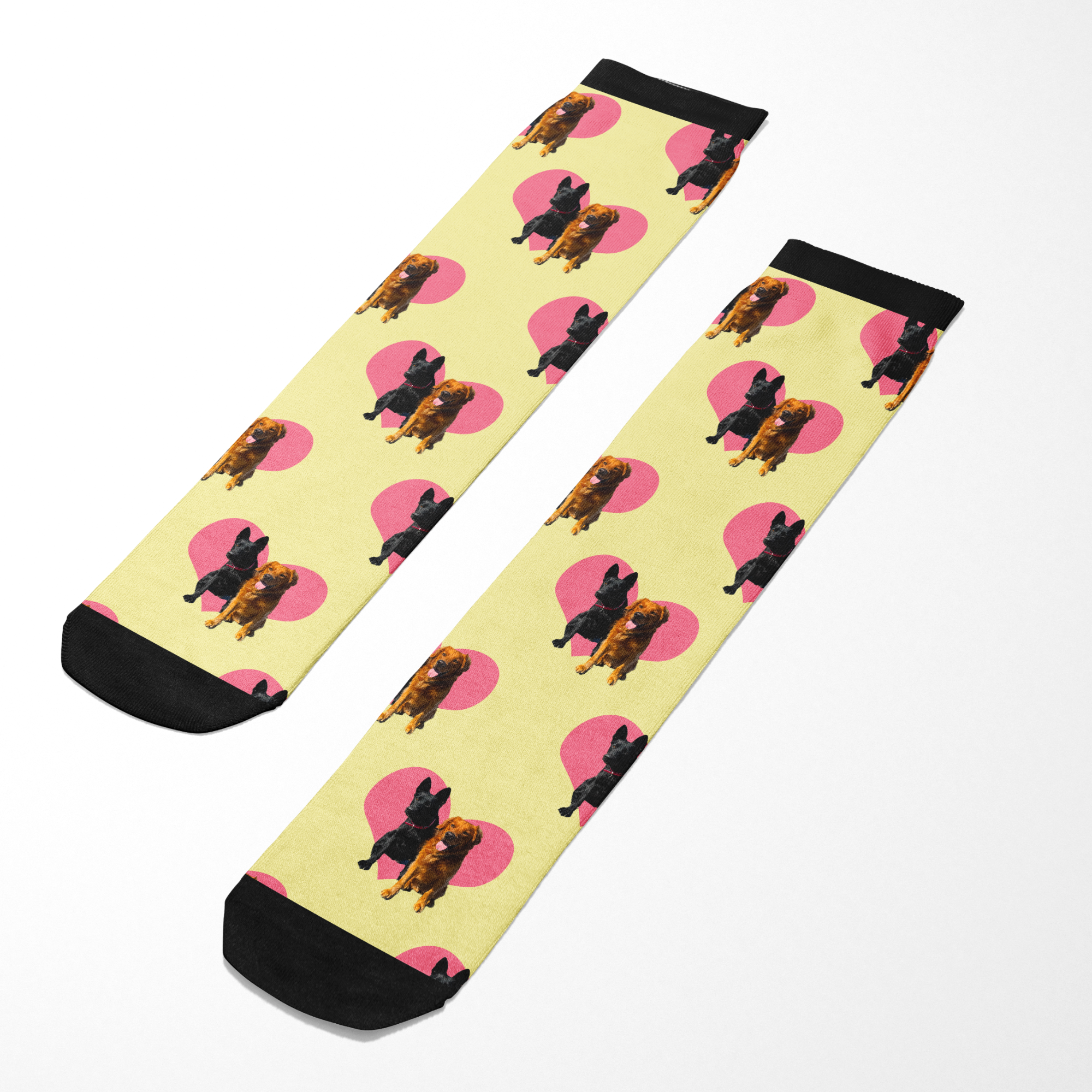 Custom heart socks with personalized photo of dogs on yellow background and pink hearts