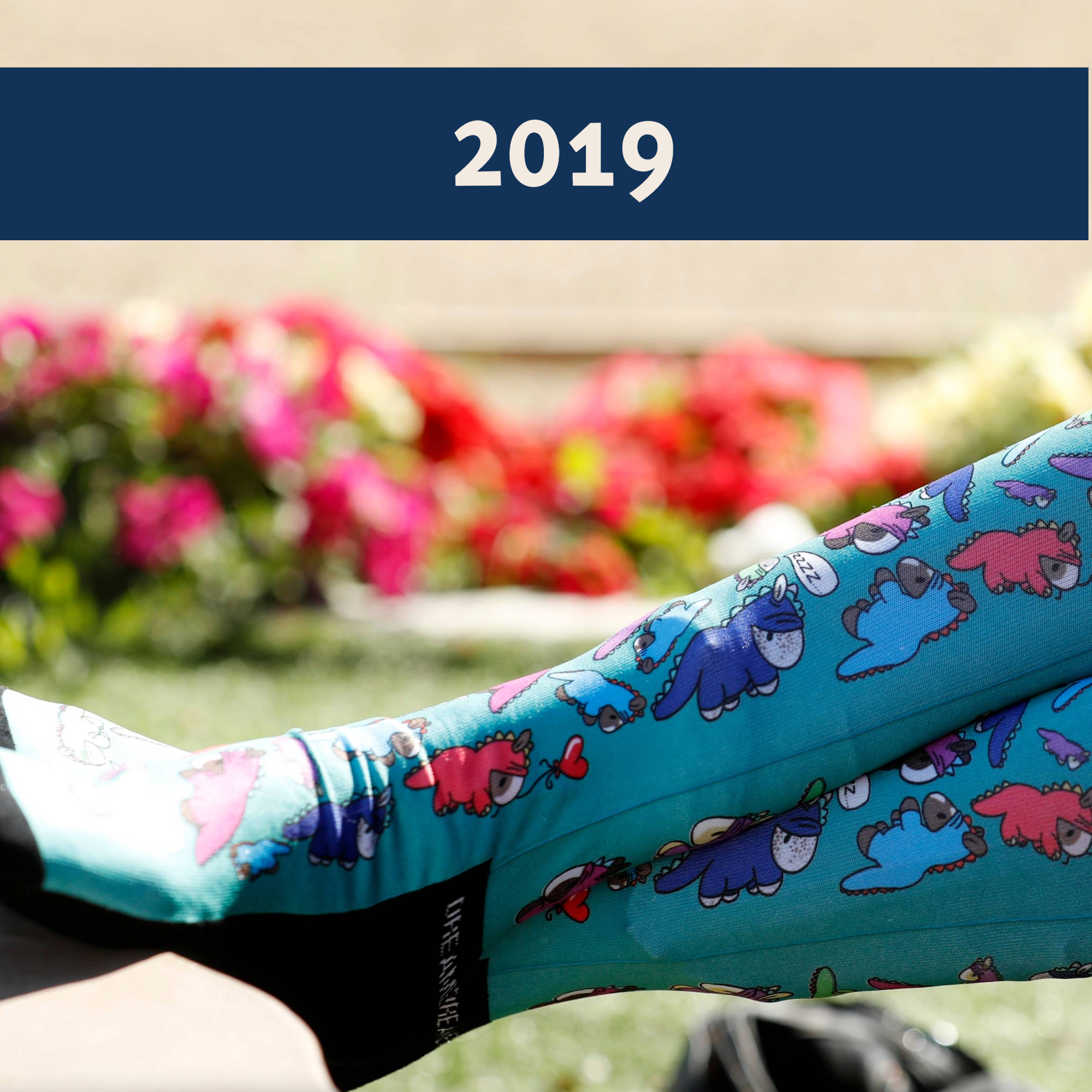 Limited edition Dino Snore 2020 boot socks with dinosaur pajamas design for equestrians