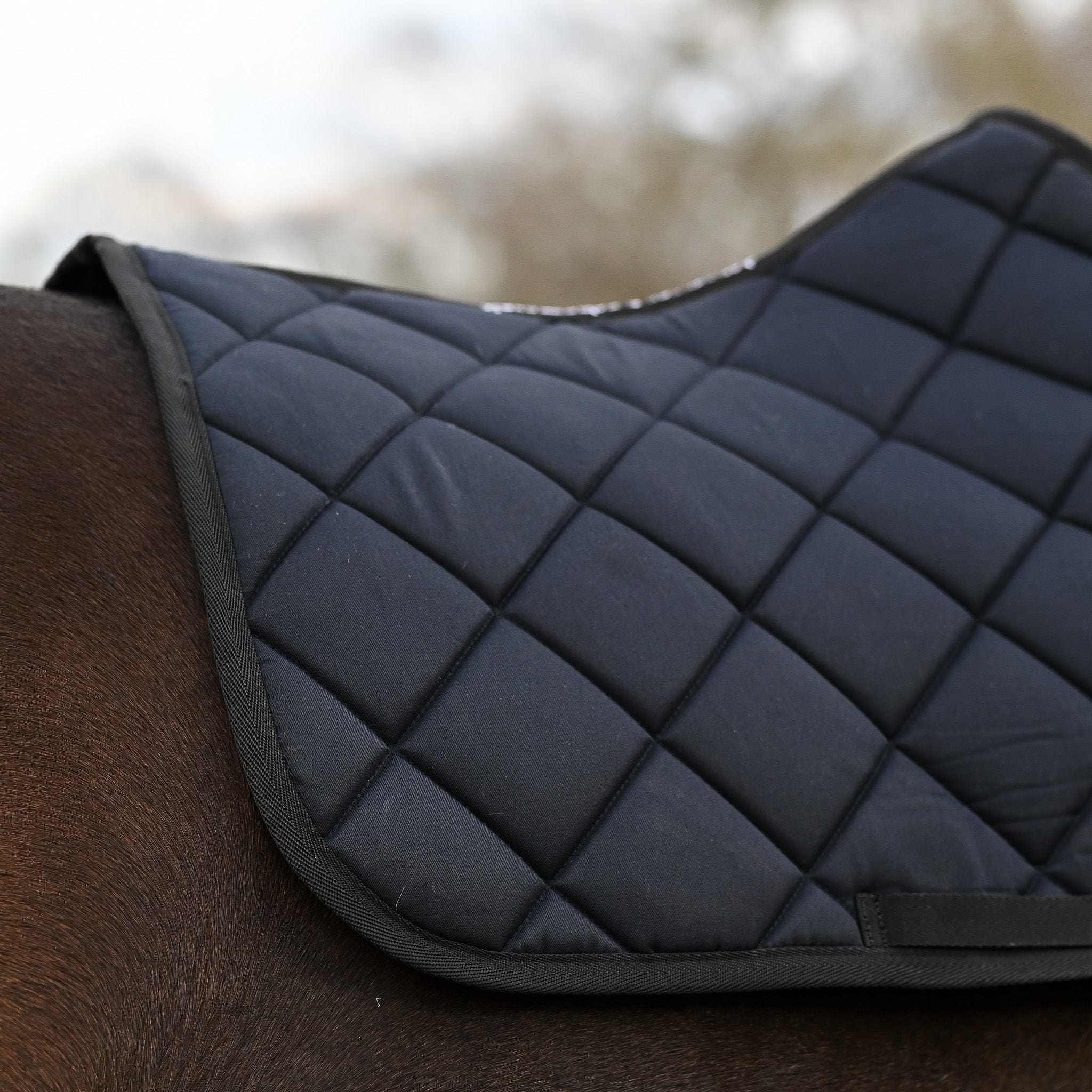 Not So Basic Black quilted black saddle pad on horse back