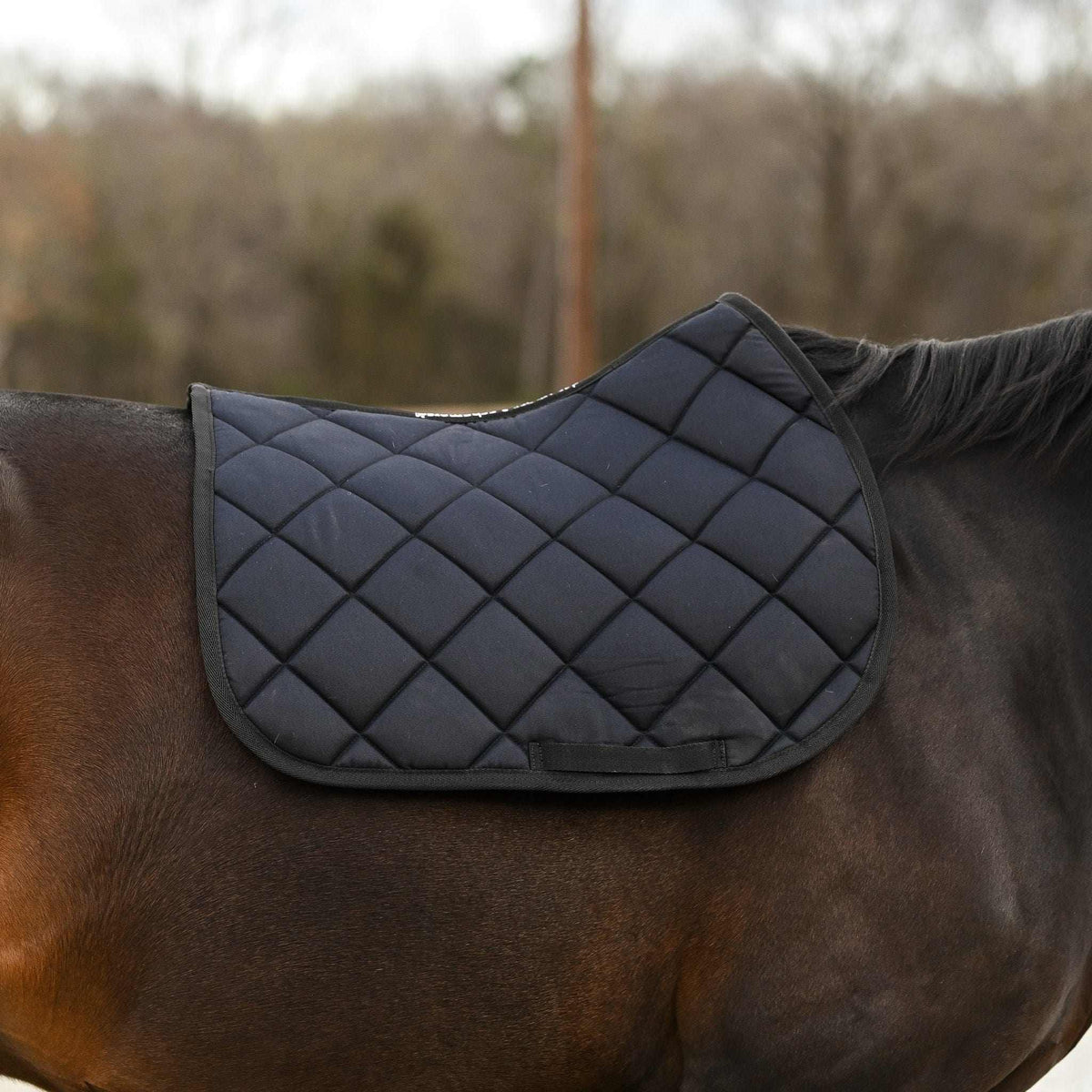 Not So Basic Black quilted black saddle pad on horse back