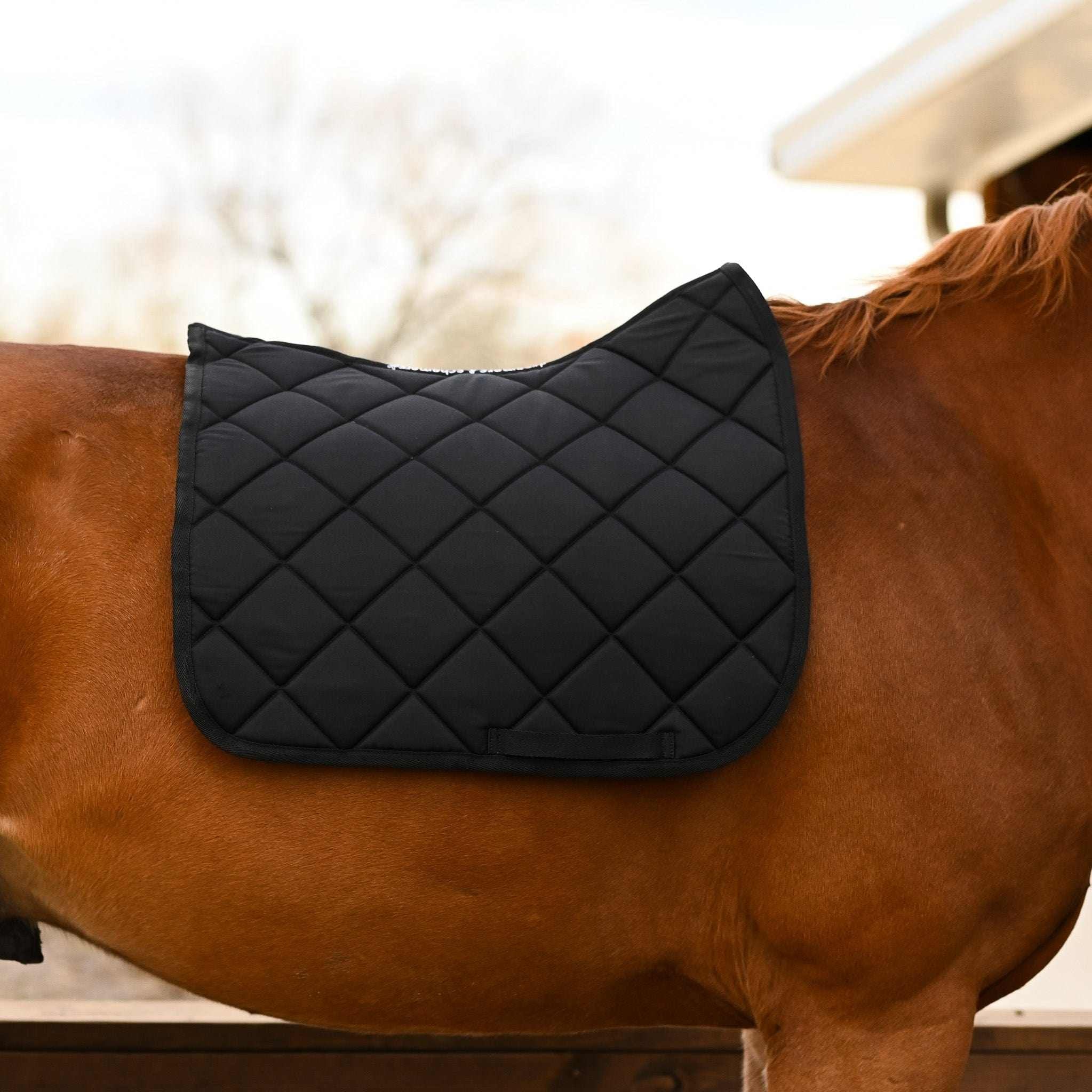 Not So Basic Black equestrian holiday gift bundle with black saddle pad on horse