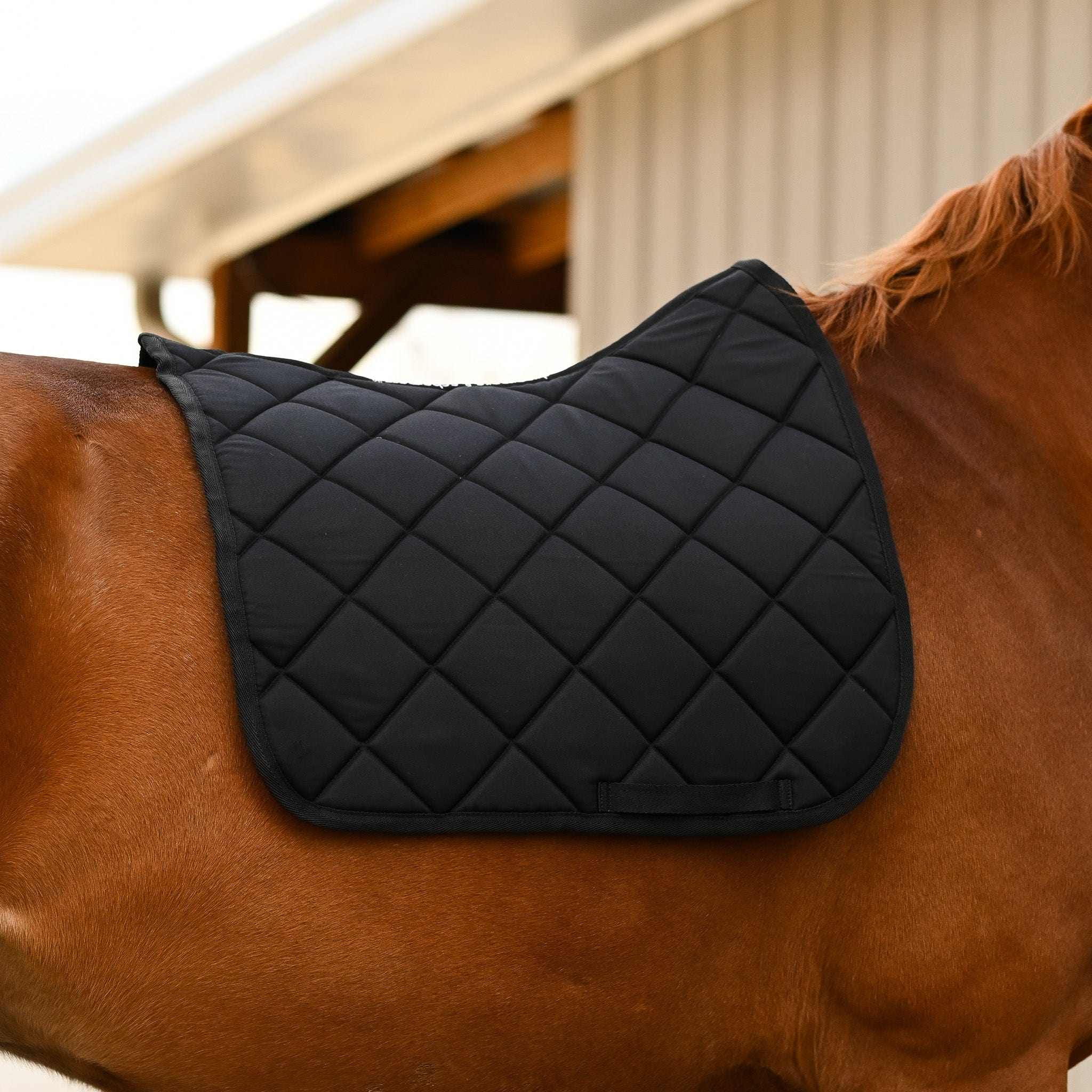 Not So Basic Black equestrian gift bundle featuring a black quilted saddle pad on a horse.