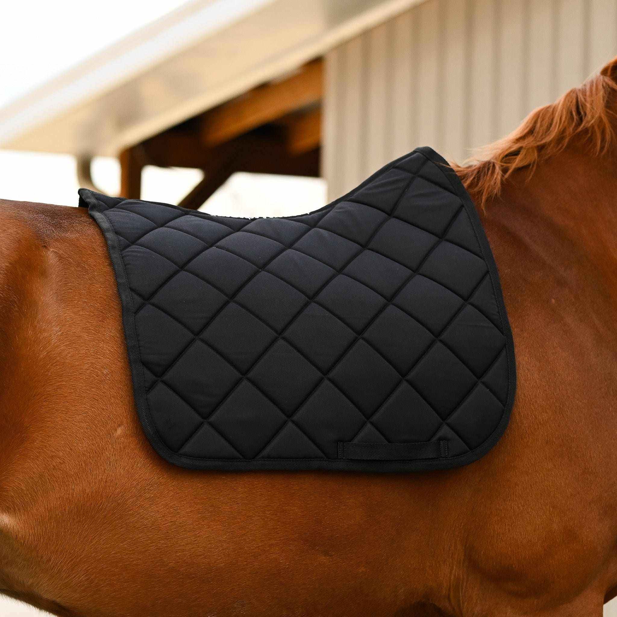 Dreamers & Schemers Black Saddle Pad – patterned saddle pad, equestrian gift, horseback riding gear from Dreamers & Schemers Saddle Pads