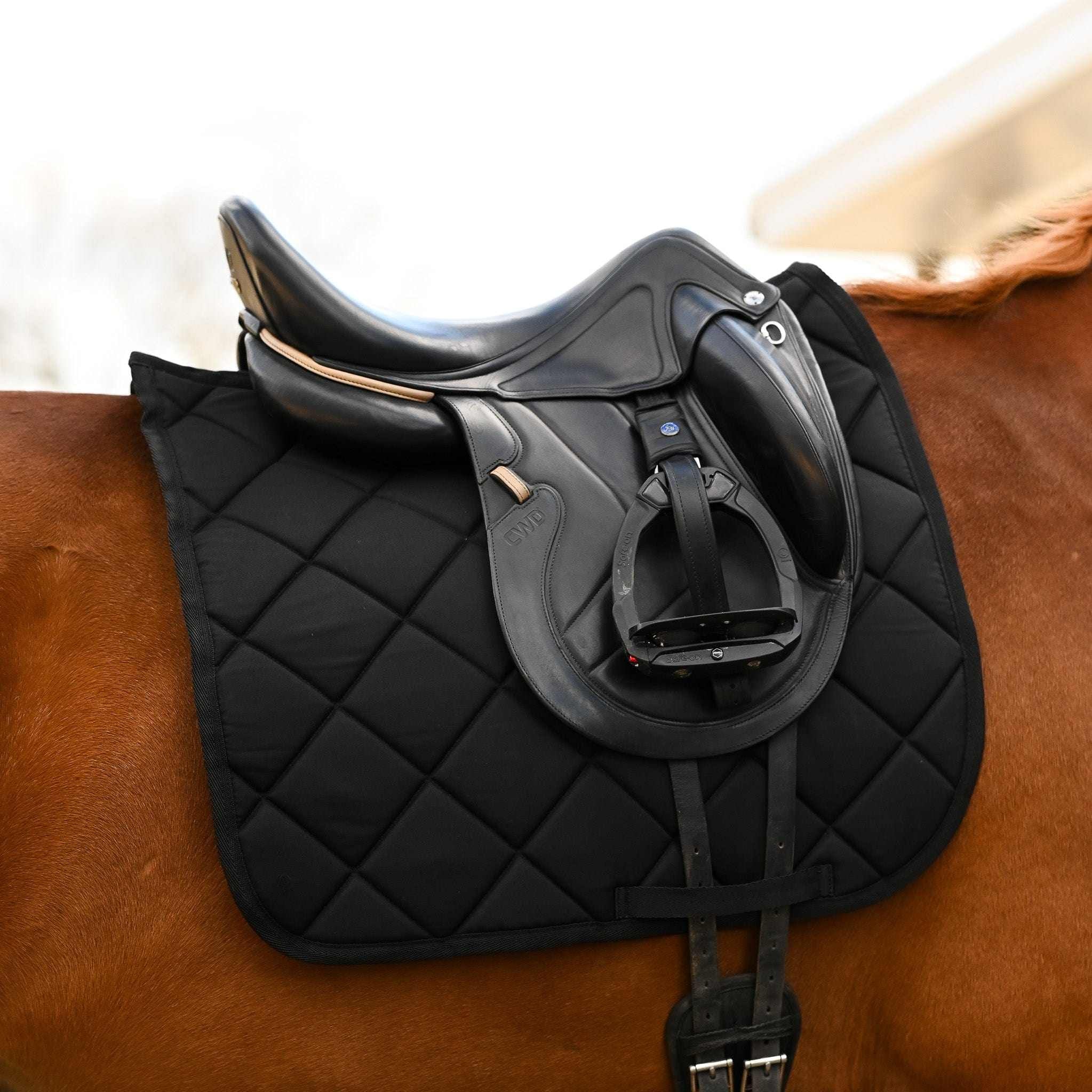 Not So Basic Black equestrian bundle with black saddle pad and leather stirrups on horse