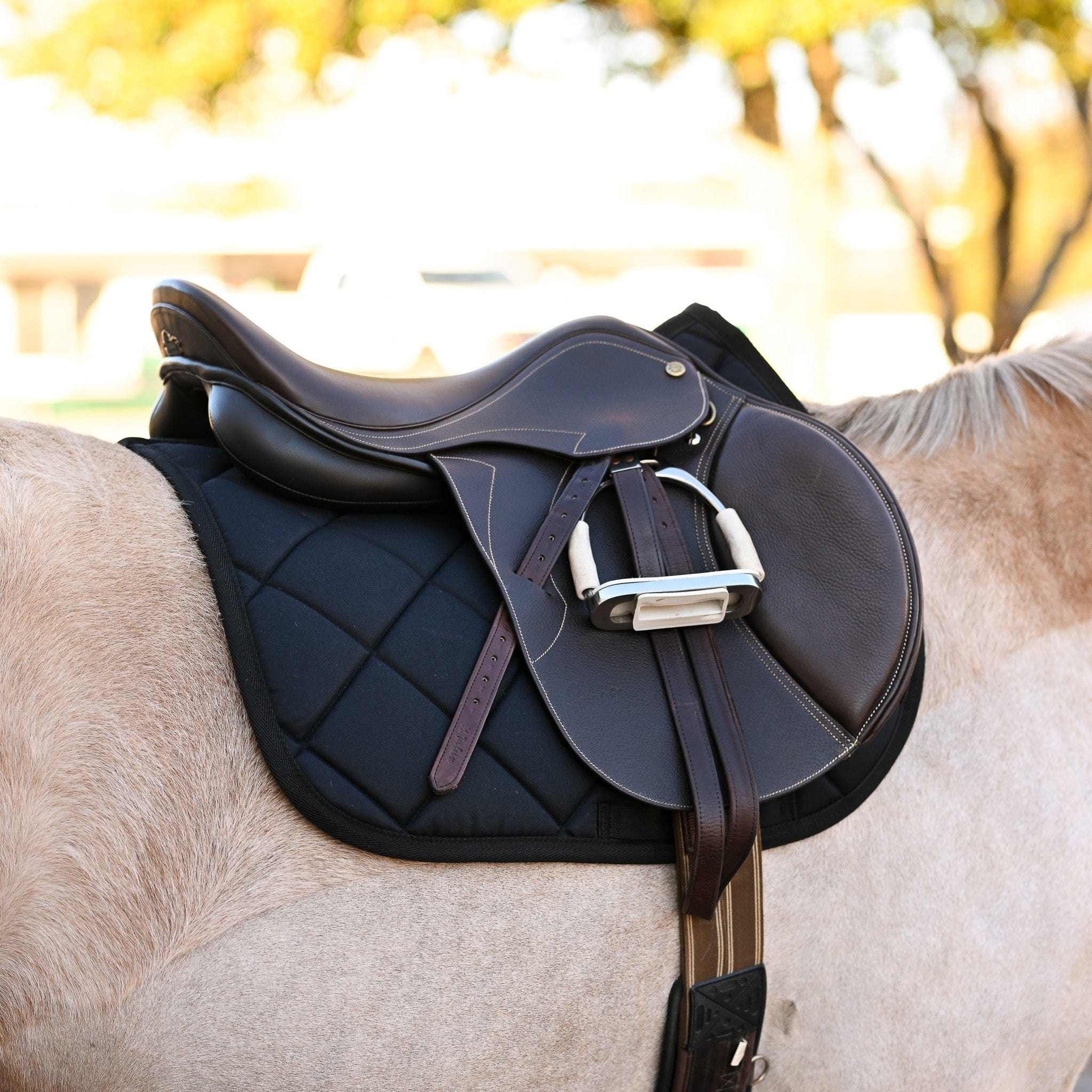 Black saddle pad with brown leather saddle on horse back for equestrian riding