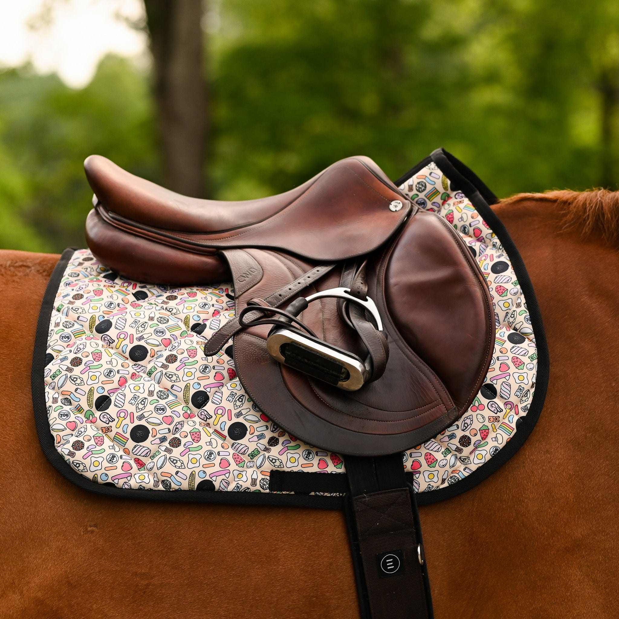 Dreamers & Schemers Brain Candy Saddle Pad – patterned saddle pad, equestrian gift, horseback riding gear from Dreamers & Schemers Saddle Pads
