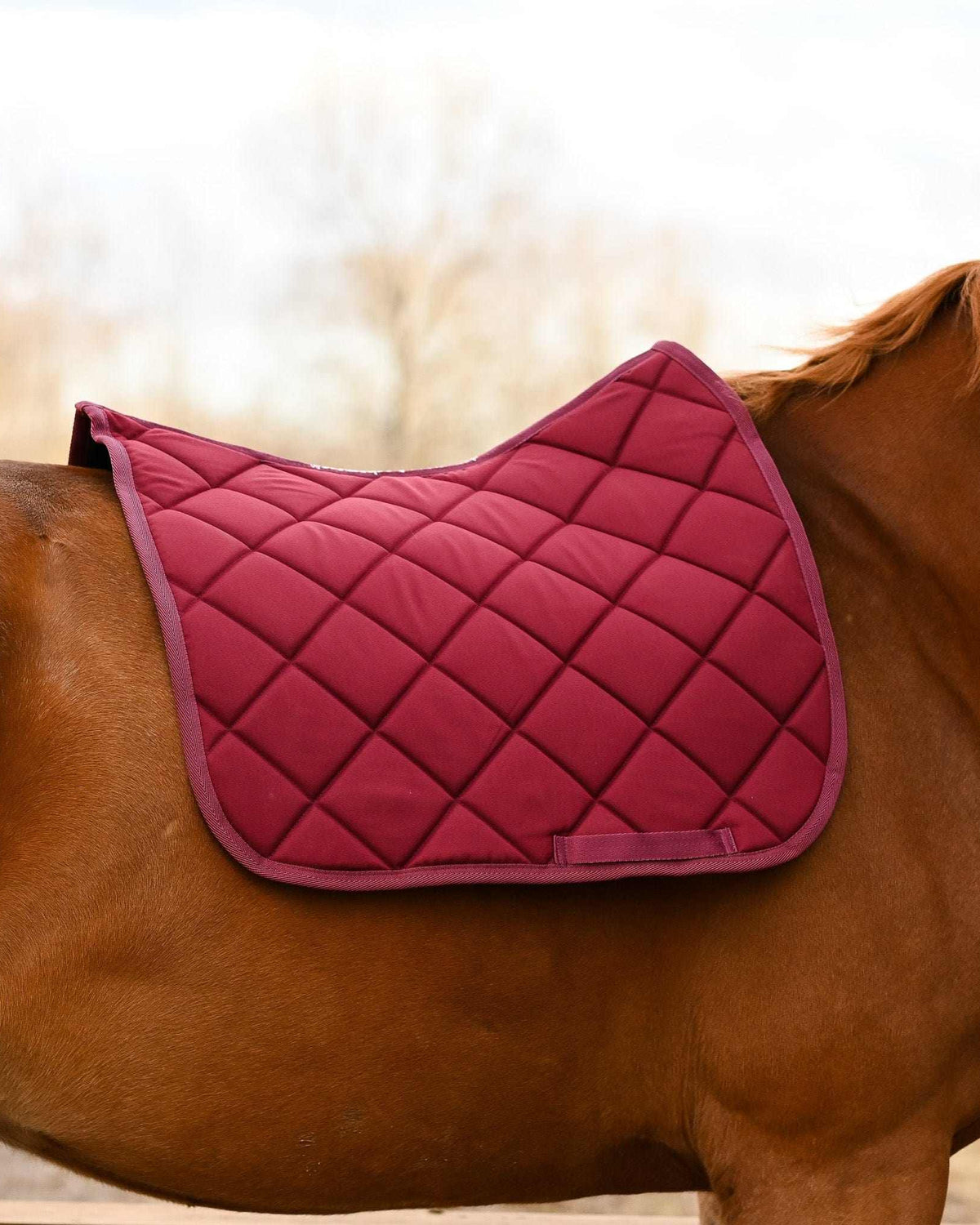 Burgundy all-purpose saddle pad, additional view, by Dreamers & Schemers