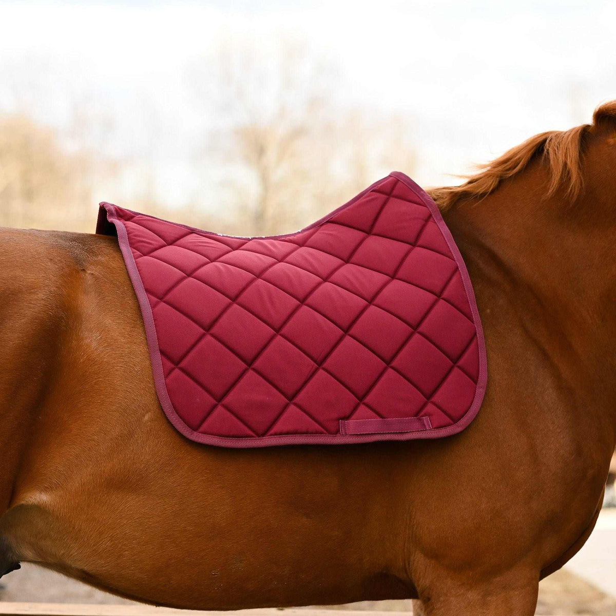 Burgundy all-purpose saddle pad, additional view, by Dreamers & Schemers