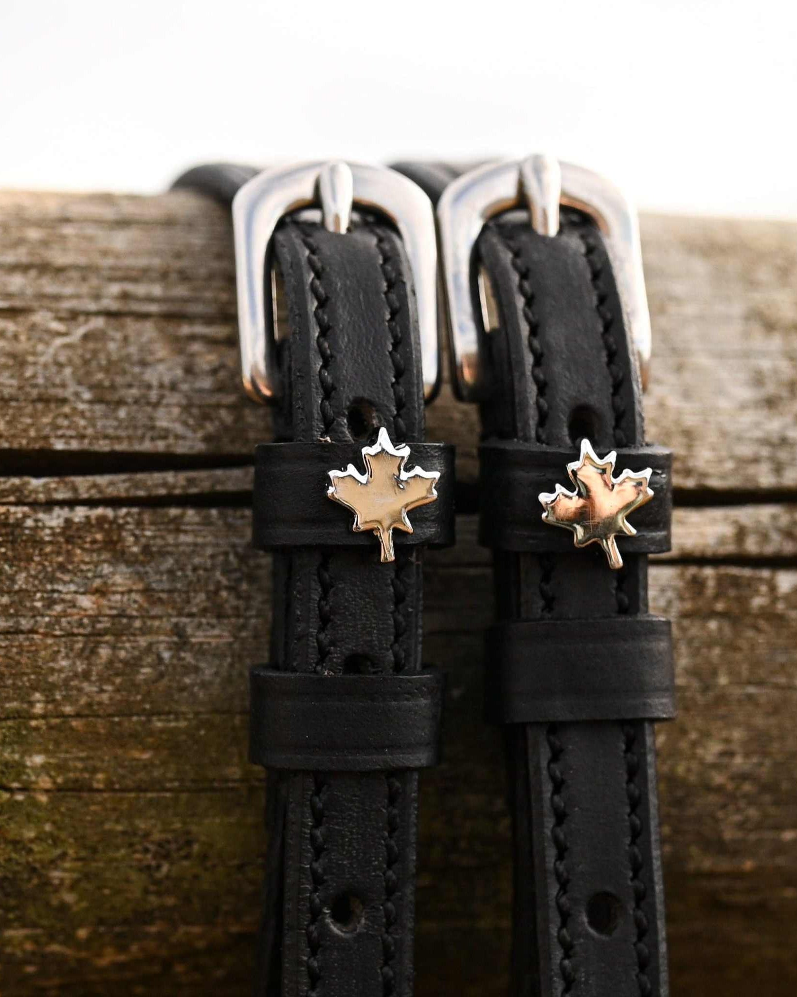 Canada Spur Straps (maple leaf) patterned spur straps, additional view, equestrian accessory by ManeJane