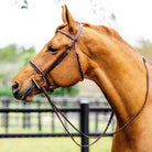 The TackHack For the Horse Classic Hunter Bridle with Laced Reins equestrian boot socks boot socks thin socks riding socks pattern socks tall socks funny socks knee high socks horse socks horse show socks