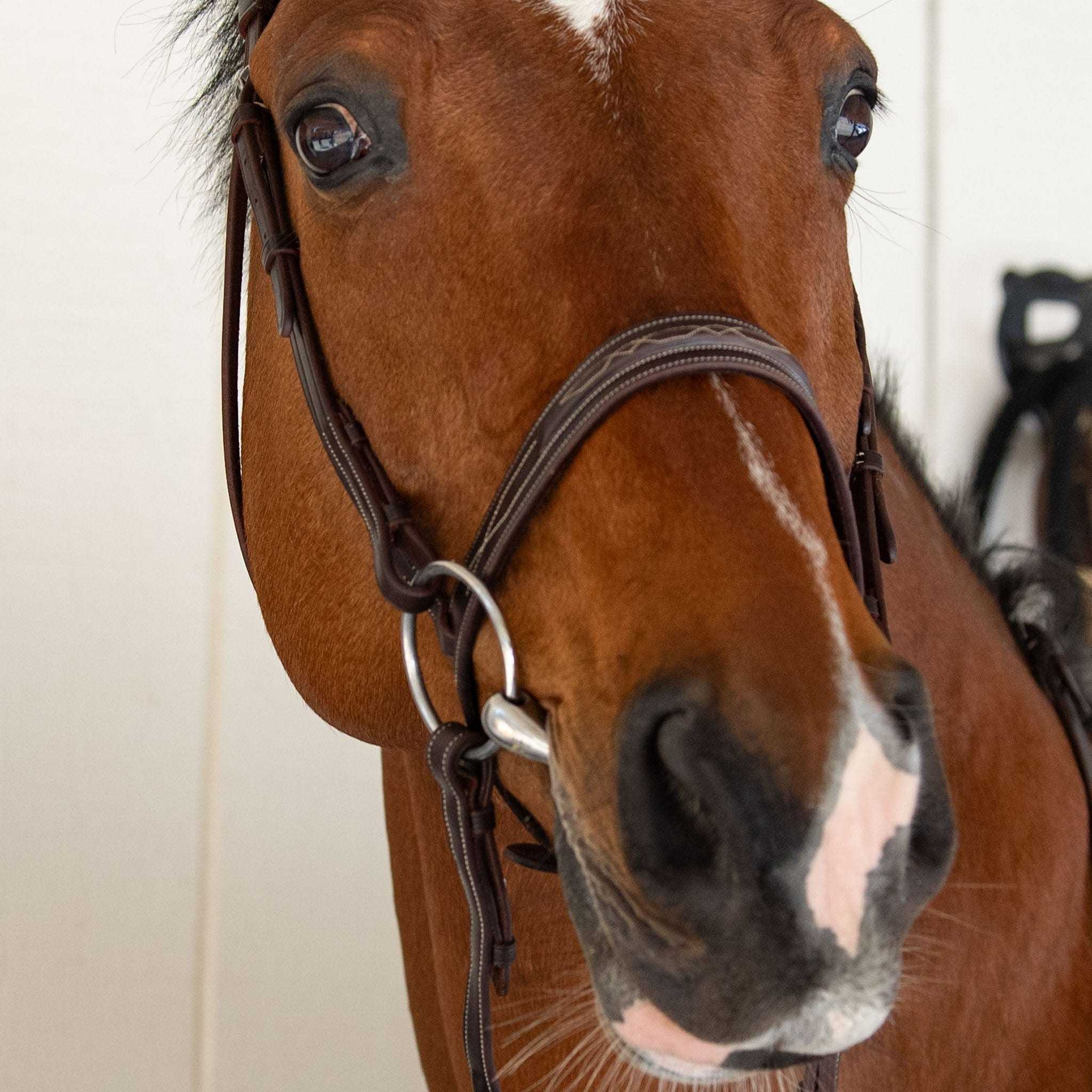 The TackHack For the Horse Classic Hunter Bridle with Laced Reins equestrian boot socks boot socks thin socks riding socks pattern socks tall socks funny socks knee high socks horse socks horse show socks