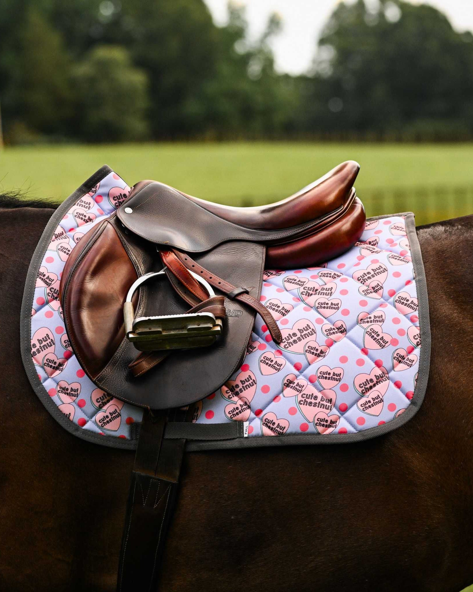 Dreamers & Schemers Cute but Chestnut Saddle Pad – patterned saddle pad, equestrian gift, horseback riding gear from Dreamers & Schemers Saddle Pads