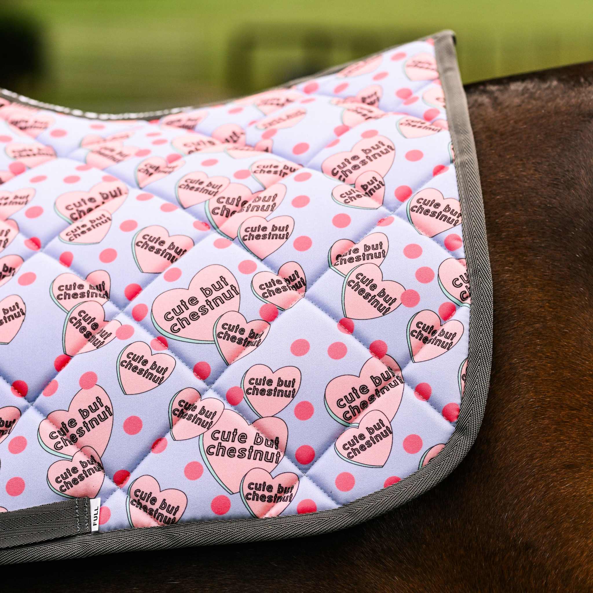 Dreamers & Schemers Cute but Chestnut Saddle Pad – patterned saddle pad, equestrian gift, horseback riding gear from Dreamers & Schemers Saddle Pads