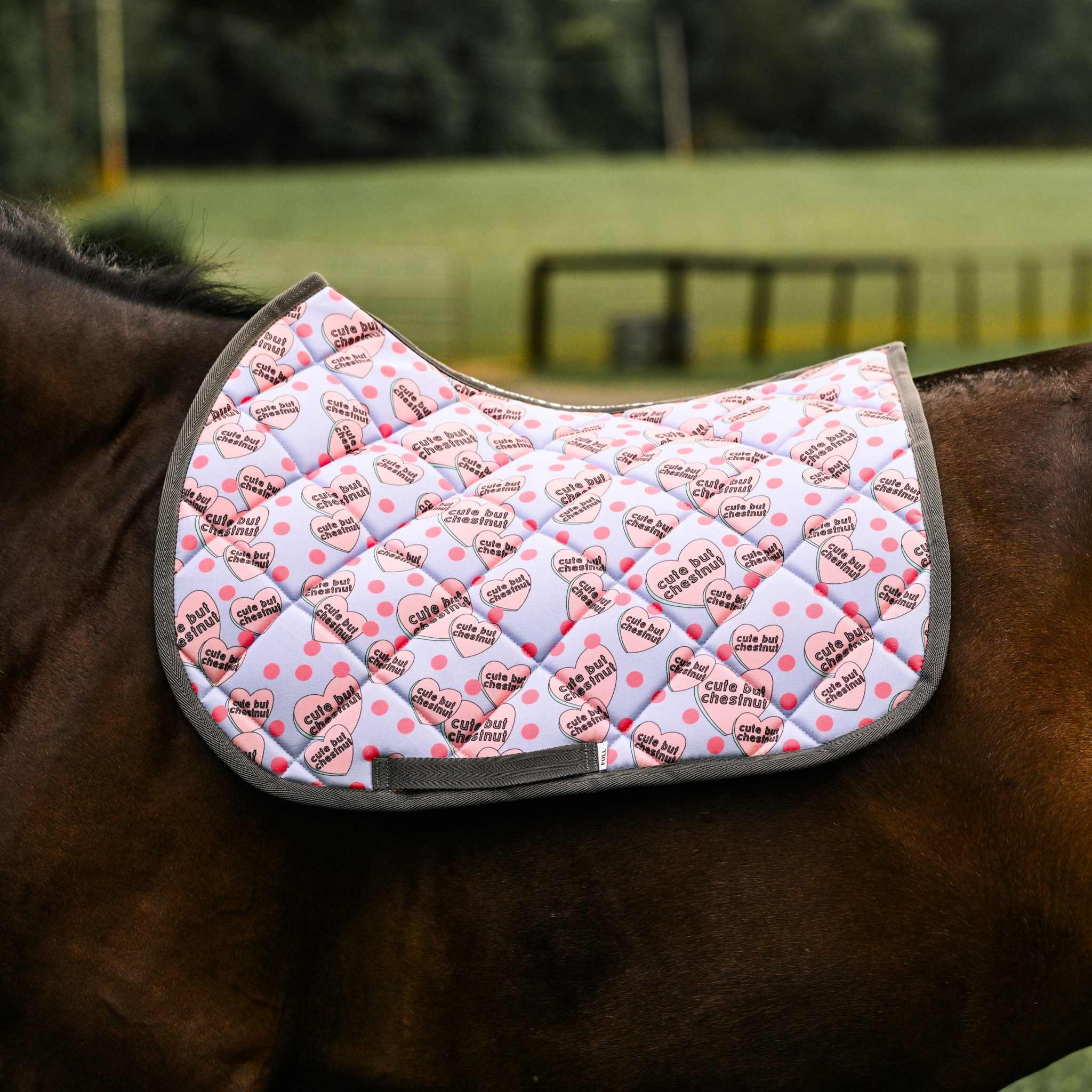 Dreamers & Schemers Cute but Chestnut Saddle Pad – patterned saddle pad, equestrian gift, horseback riding gear from Dreamers & Schemers Saddle Pads