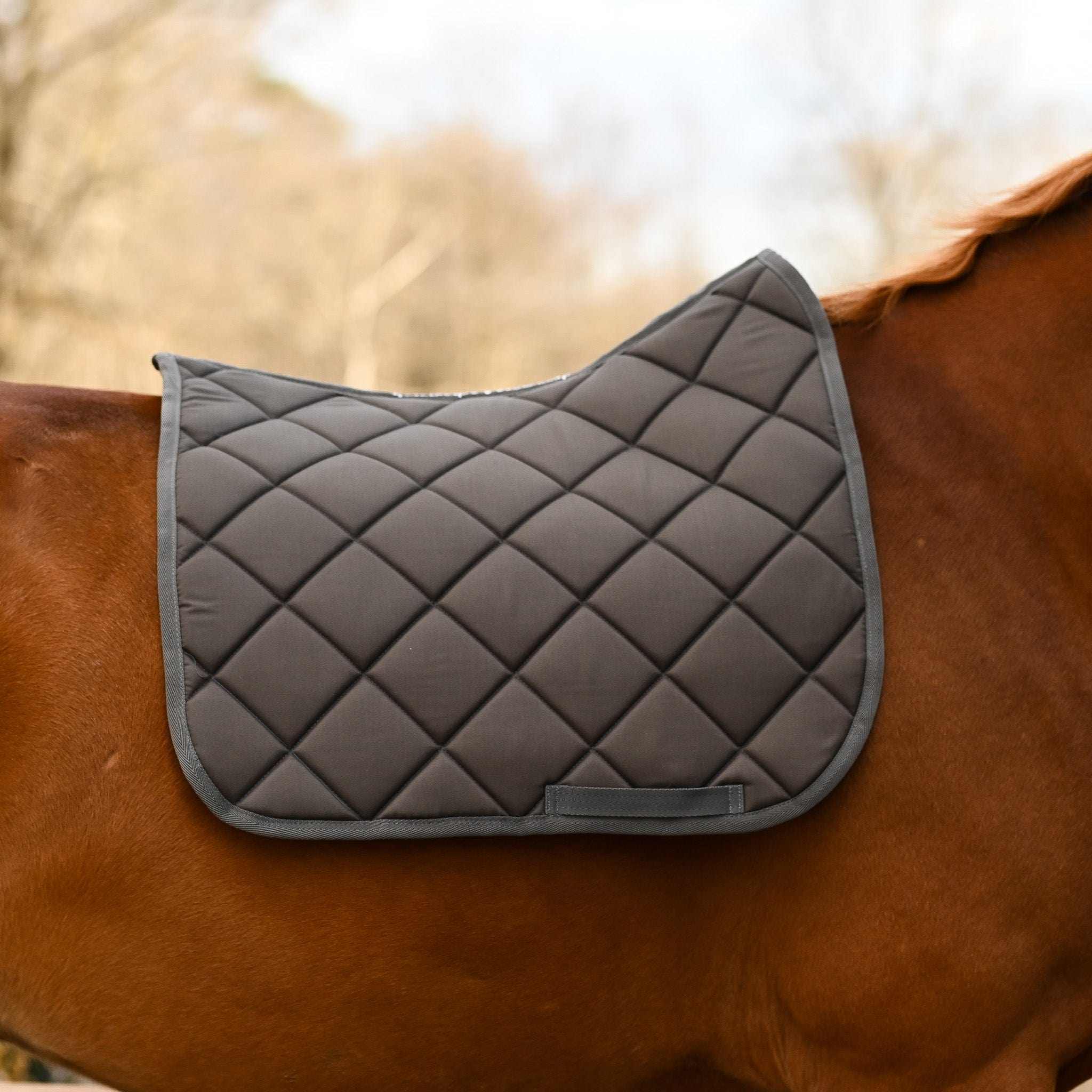 Dreamers & Schemers Dark Gray Saddle Pad – patterned saddle pad, equestrian gift, horseback riding gear from Dreamers & Schemers Saddle Pads