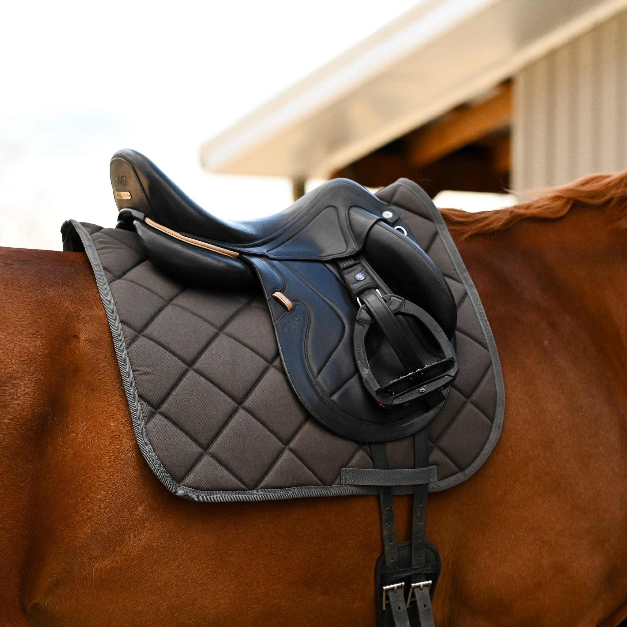 Dreamers & Schemers Dark Gray Saddle Pad – patterned saddle pad, equestrian gift, horseback riding gear from Dreamers & Schemers Saddle Pads