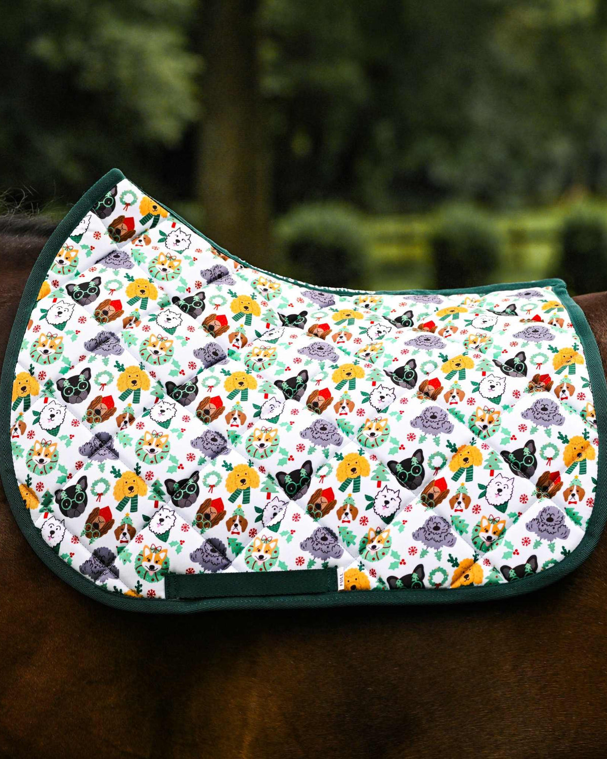 Deck the Paws Saddle Pad with colorful dog pattern and green trim on horse back, cushy quilting for comfortable everyday riding
