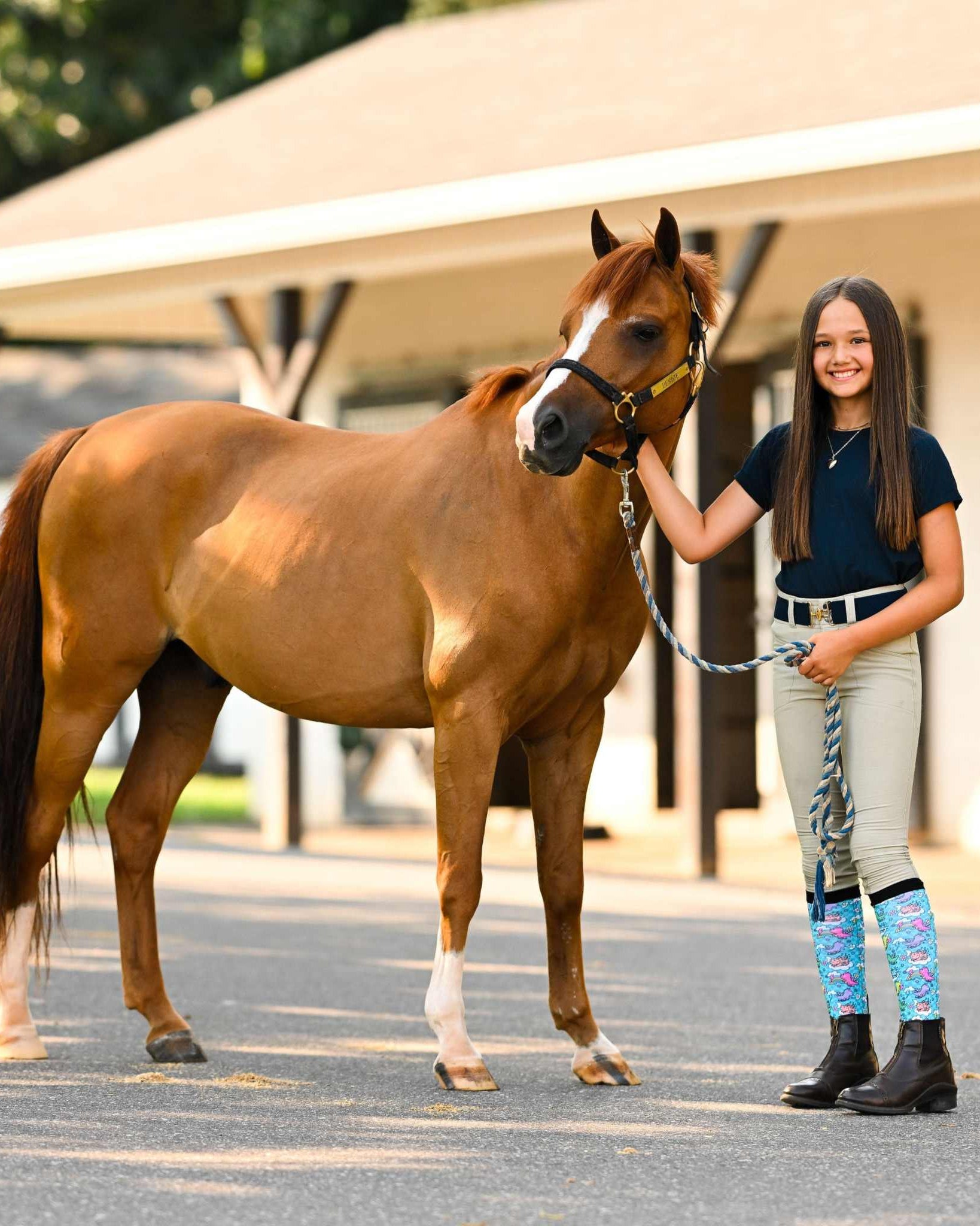 dreamers & schemers Youth Dragon Dreams Youth Pair & A Spare Socks equestrian boot socks boot socks thin socks riding socks pattern socks tall socks funny socks knee high socks horse socks horse show socks